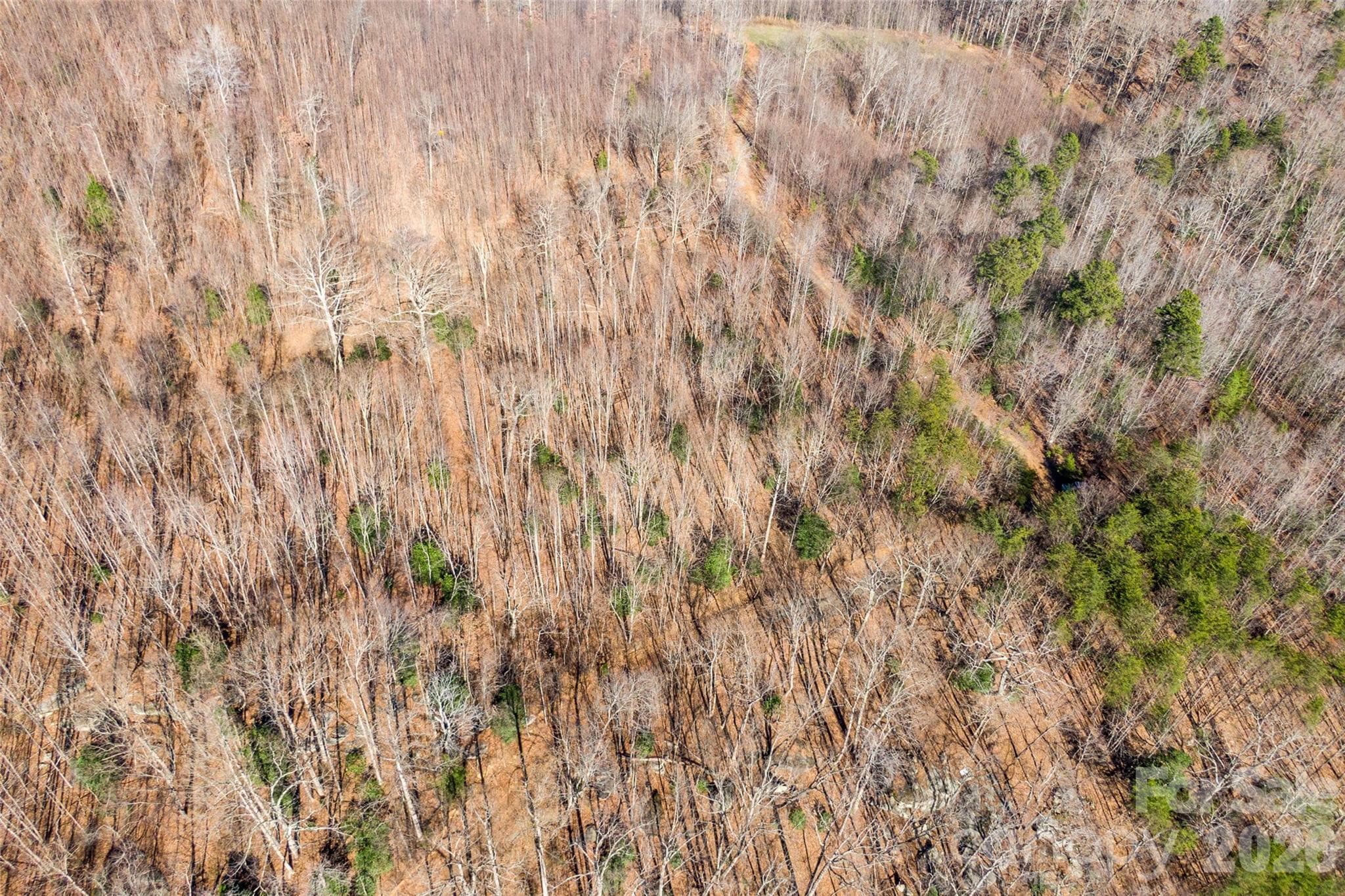 Lot at 0 Ashe Drive, Ellenboro, photo 5 of 8