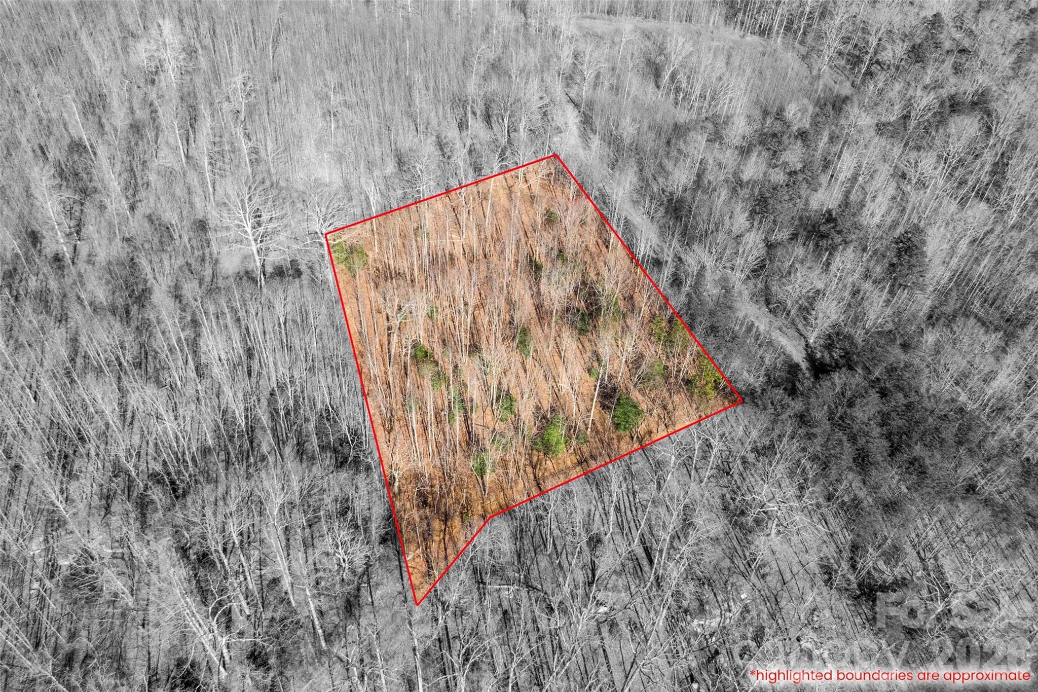 Lot at 0 Ashe Drive, Ellenboro, photo 6 of 8