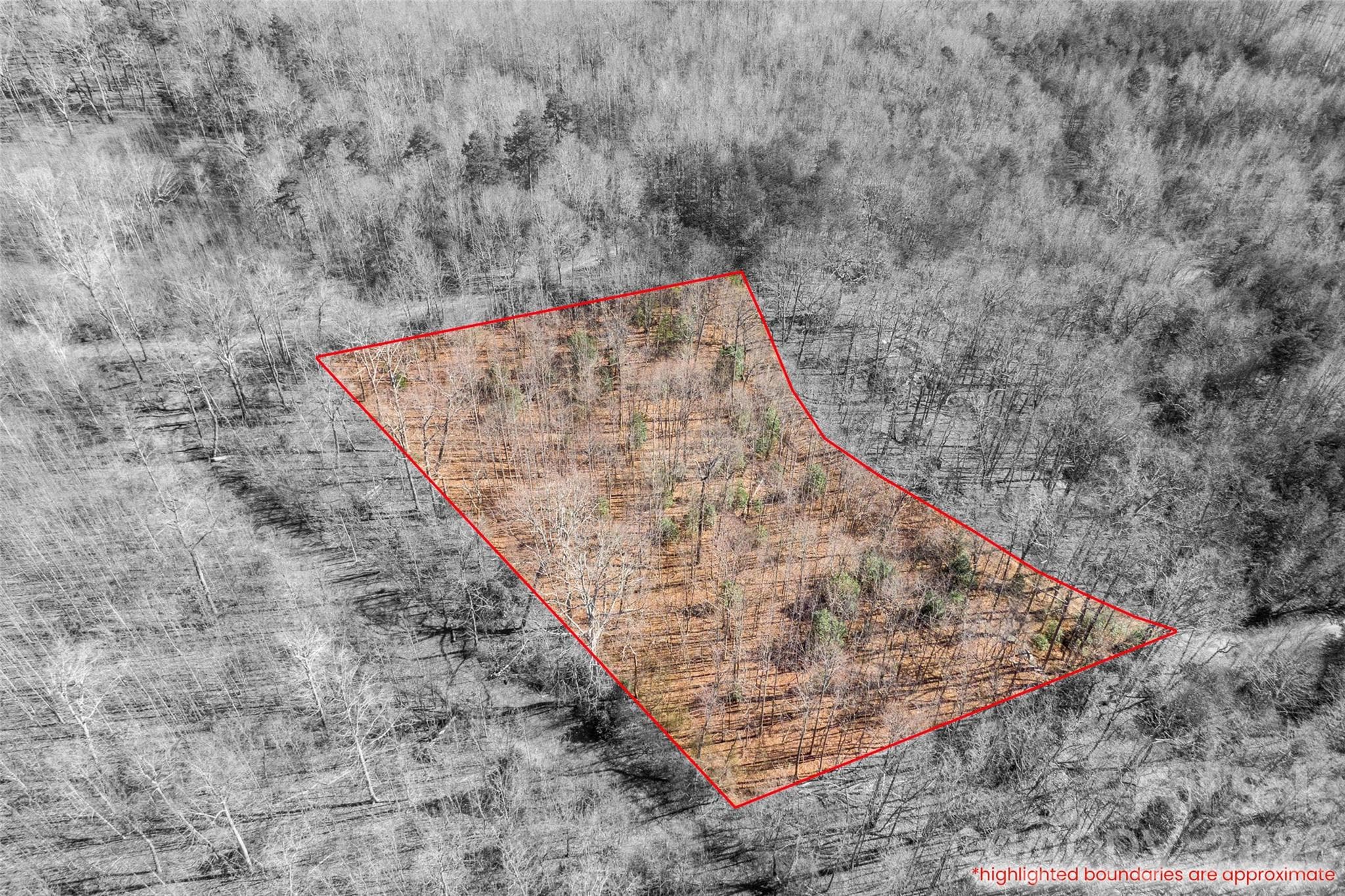 Lot at 0 Ashe Drive, Ellenboro, photo 8 of 8