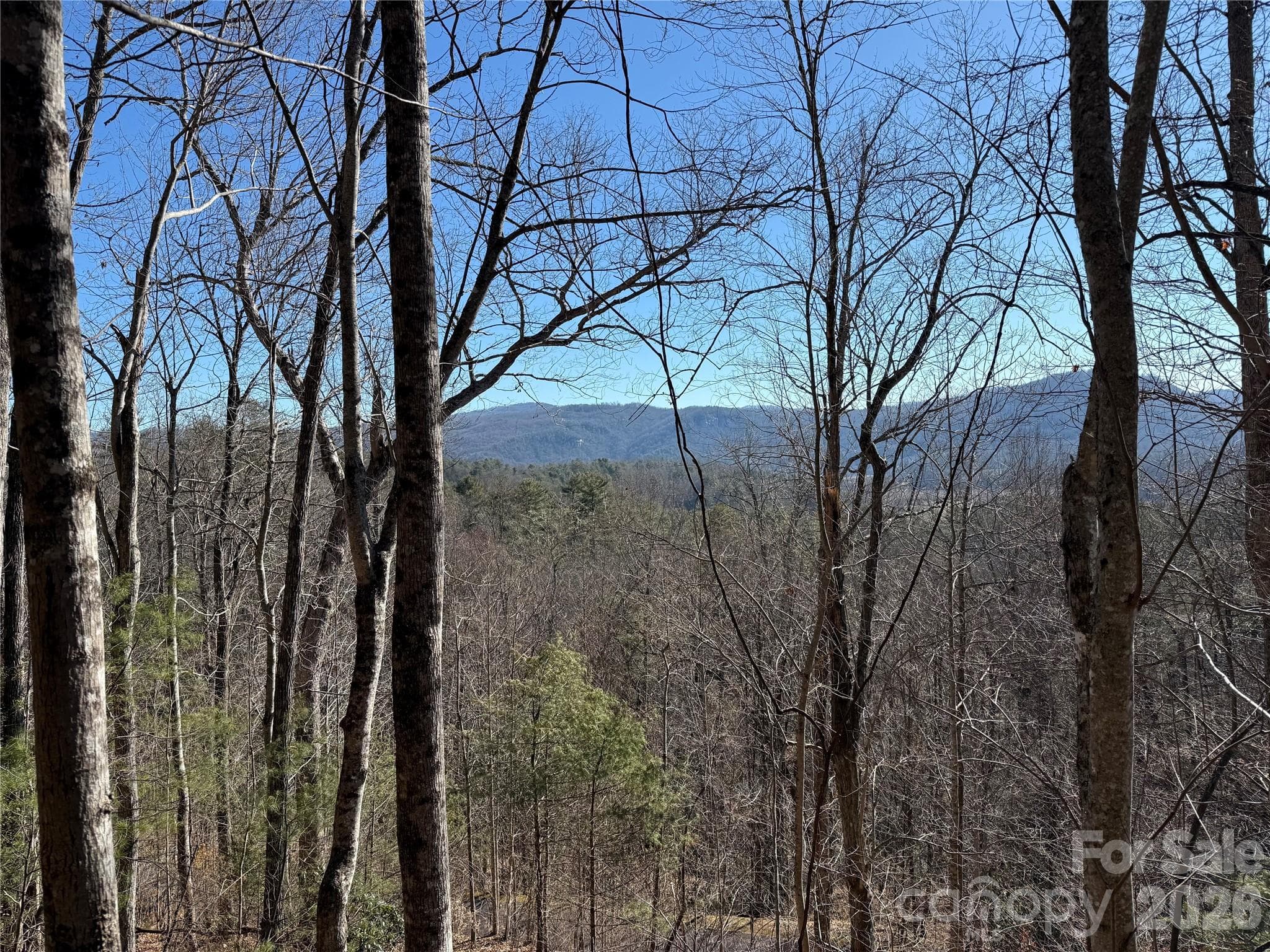 Lot at Brevard, photo 5 of 26