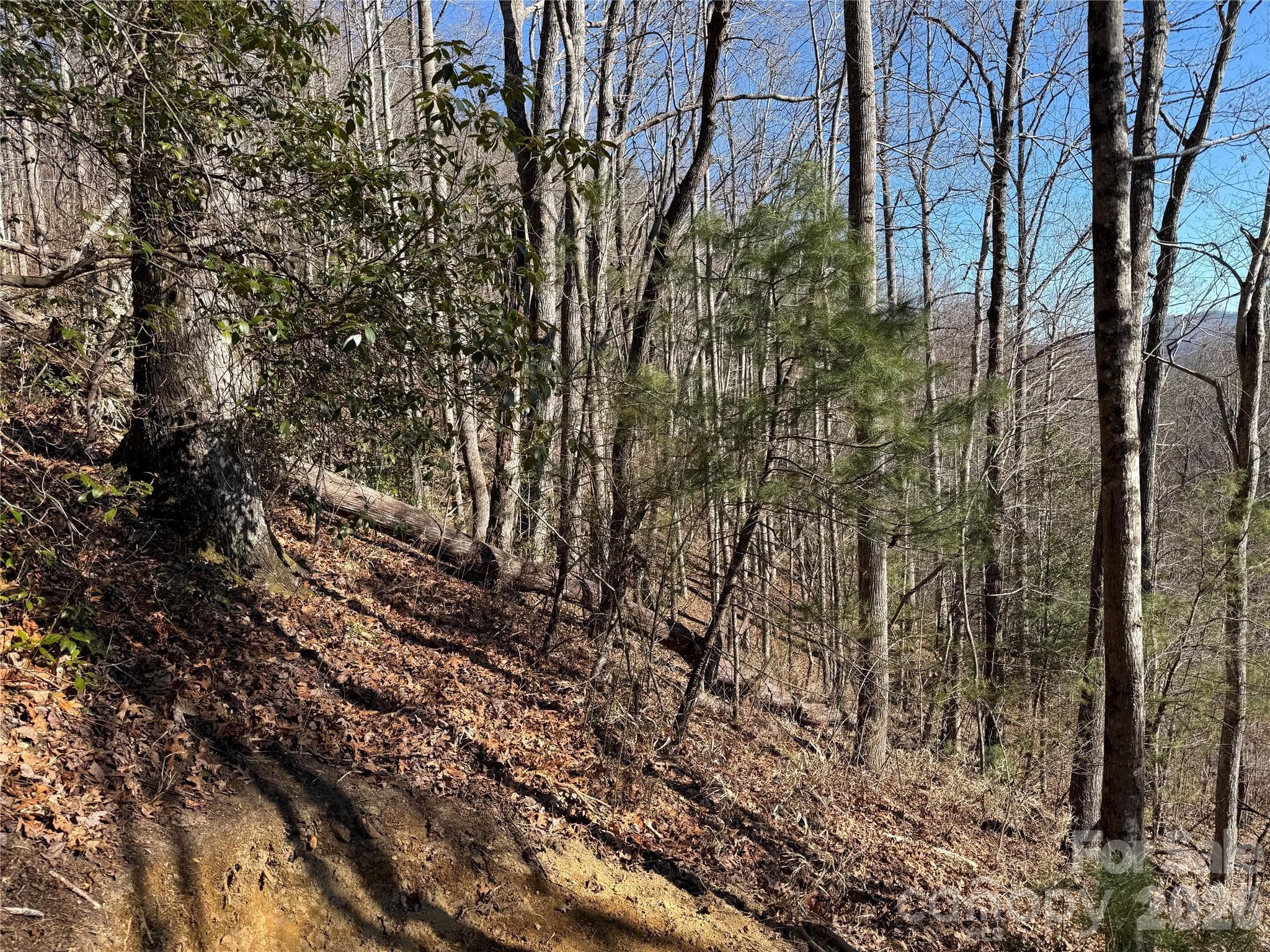 Lot at Brevard, photo 6 of 26