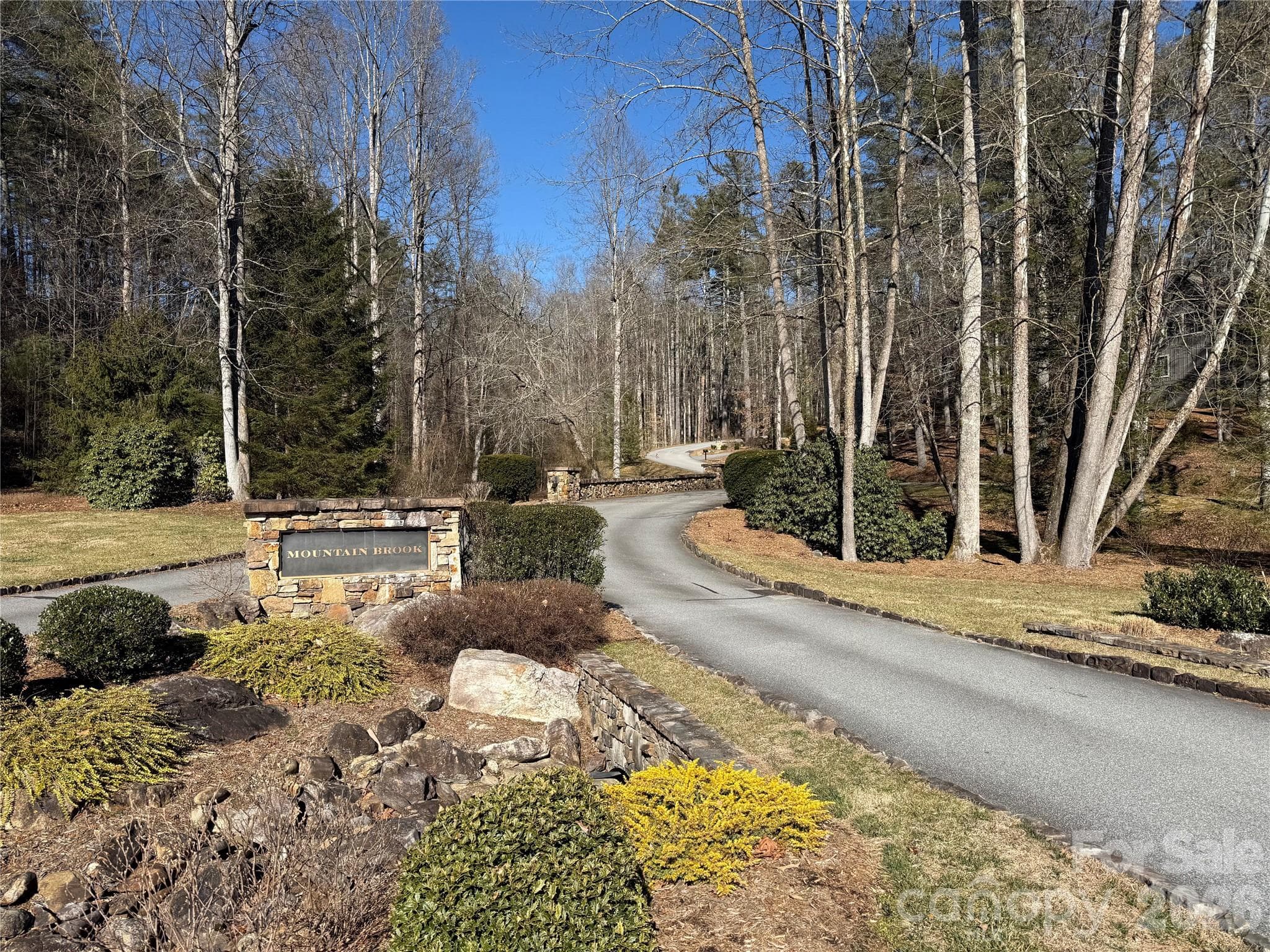 Lot at Brevard, photo 7 of 26
