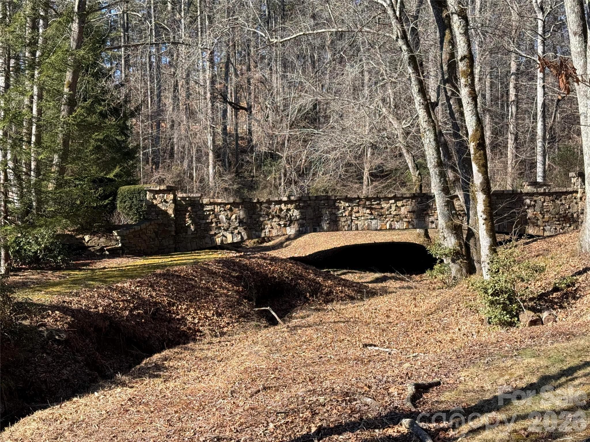 Lot at Brevard, photo 9 of 26