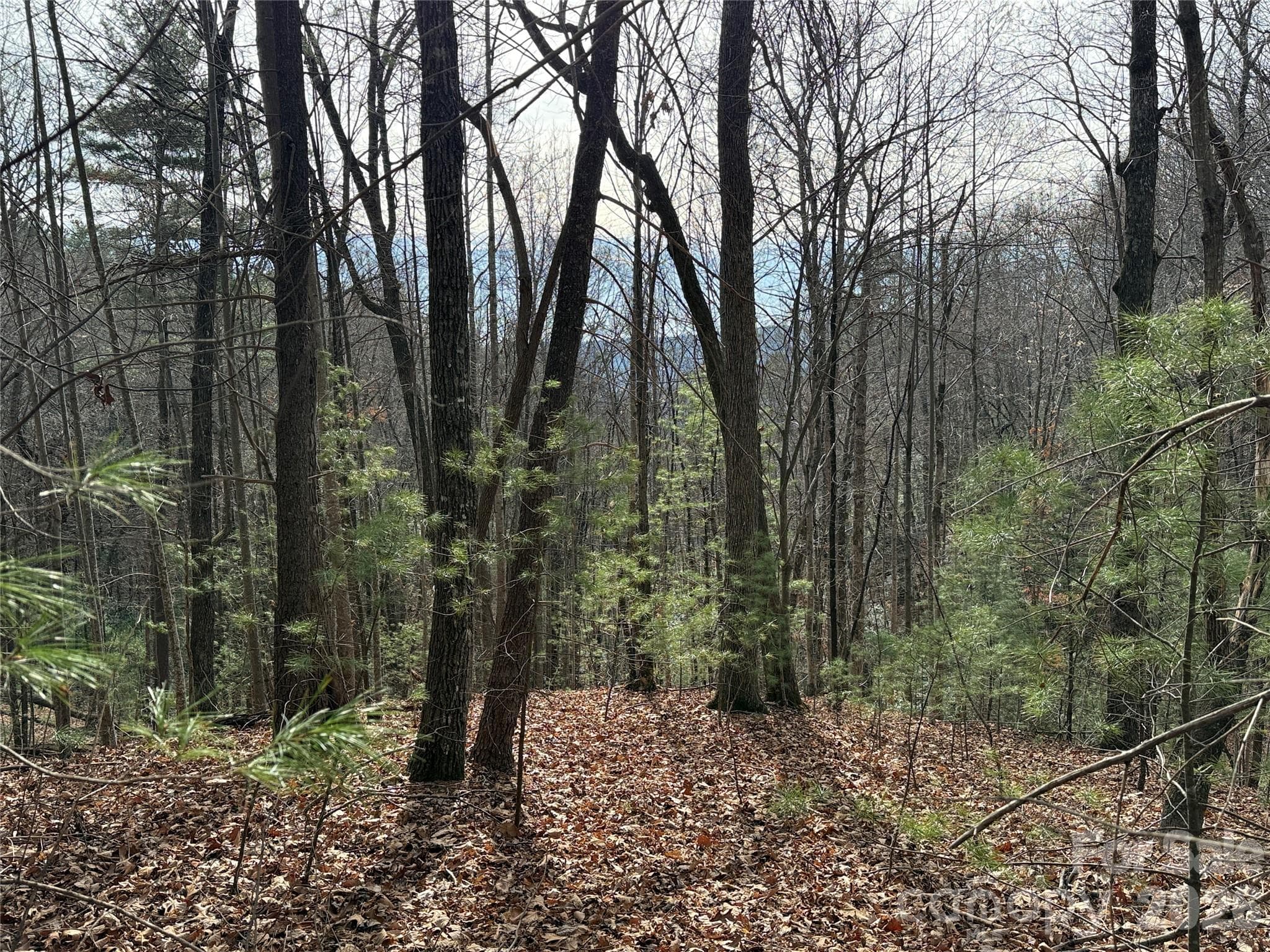 Lot at TBD Buck Mountain Road, Purlear, photo 2 of 44