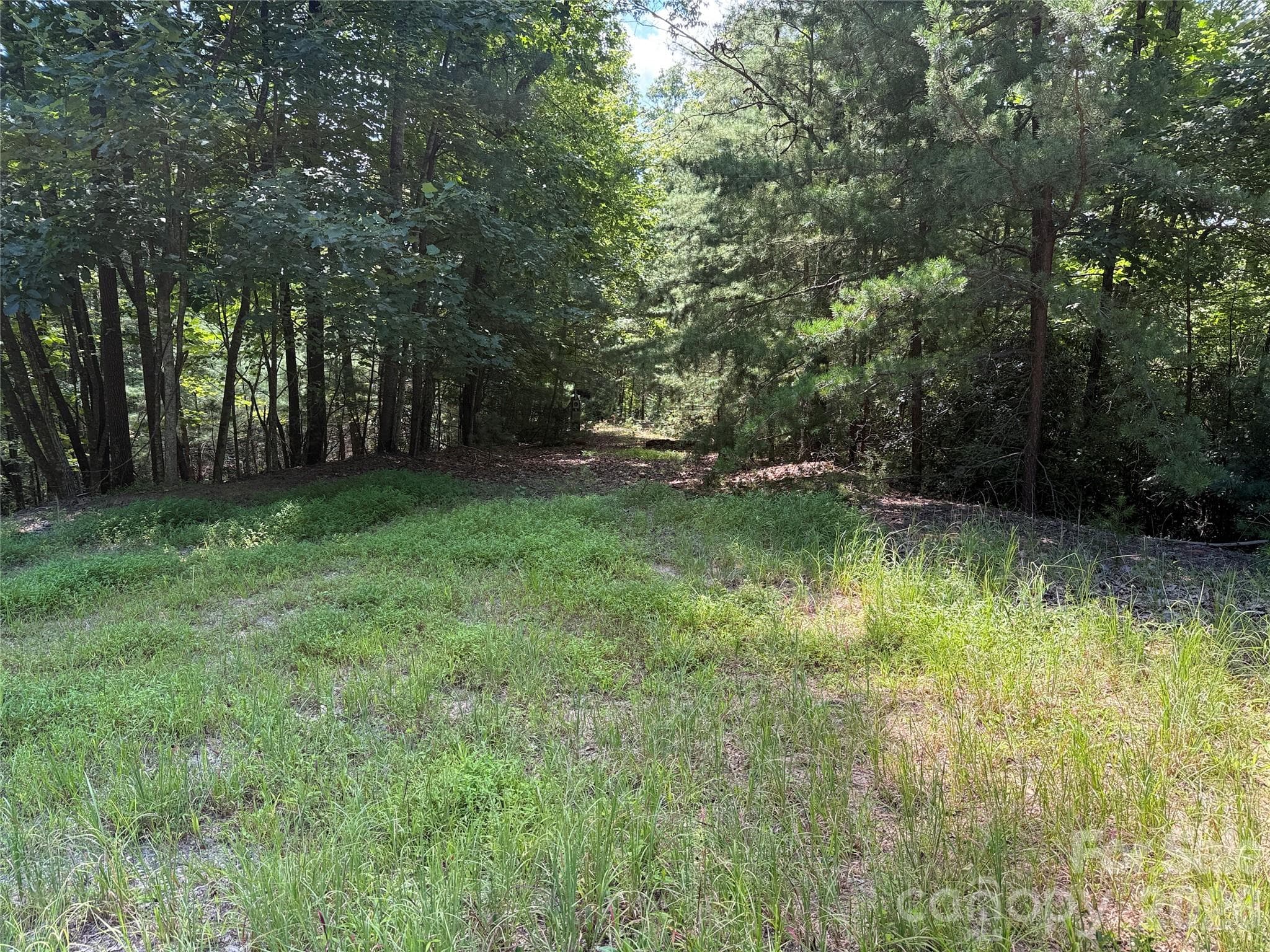 11.82 acres in Buck Mountain - TBD Hickory Hollow Road, Purlear