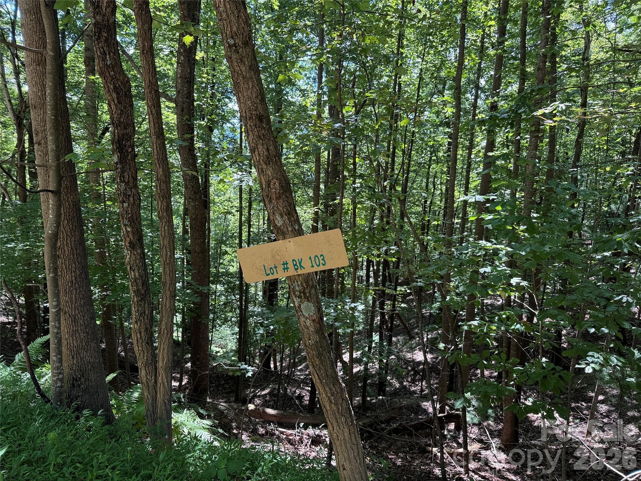 Lot at TBD Hickory Hollow Road, Purlear, photo 12 of 42