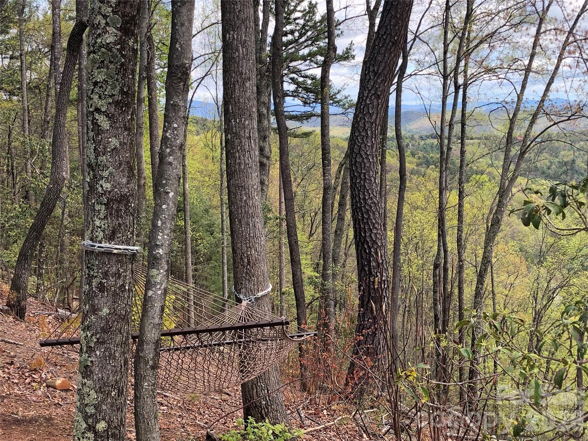 Relax at Great Oak Park - TBD Hickory Hollow Road, Purlear
