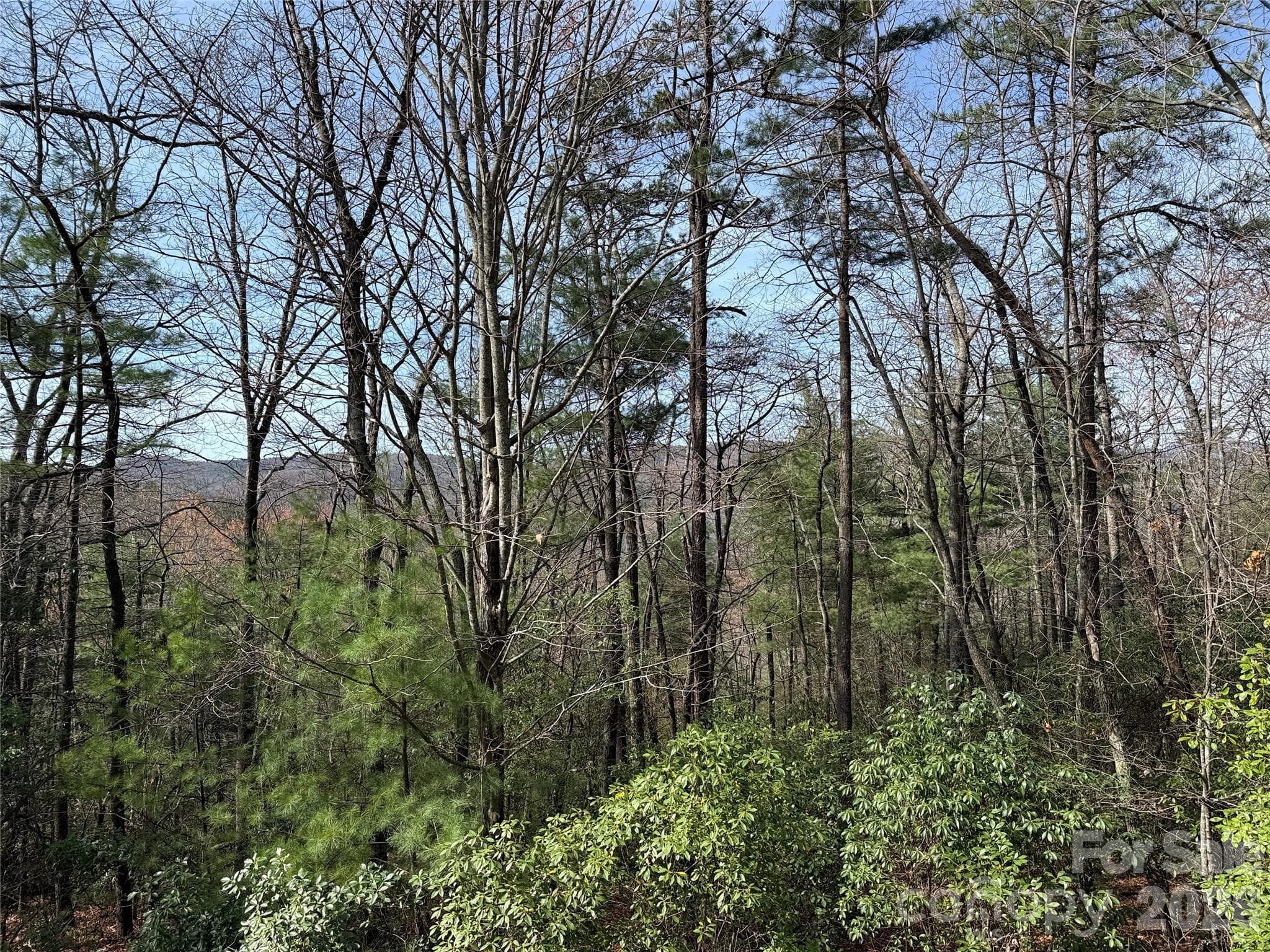 Lot 213 Casey Mountain Road - TBD Casey Mountain Road, Purlear