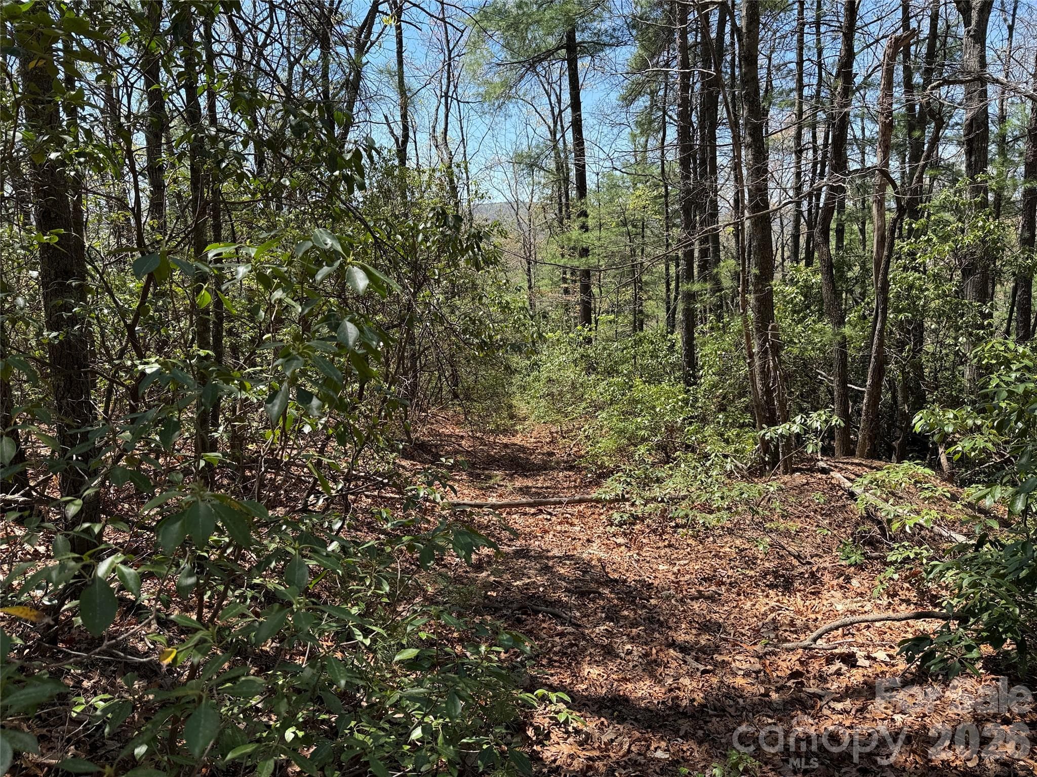 Lot at TBD Casey Mountain Road, Purlear, photo 6 of 39