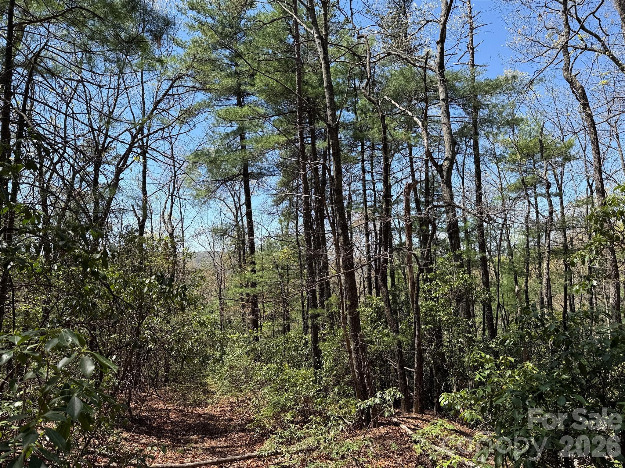 Lot at TBD Casey Mountain Road, Purlear, photo 7 of 39