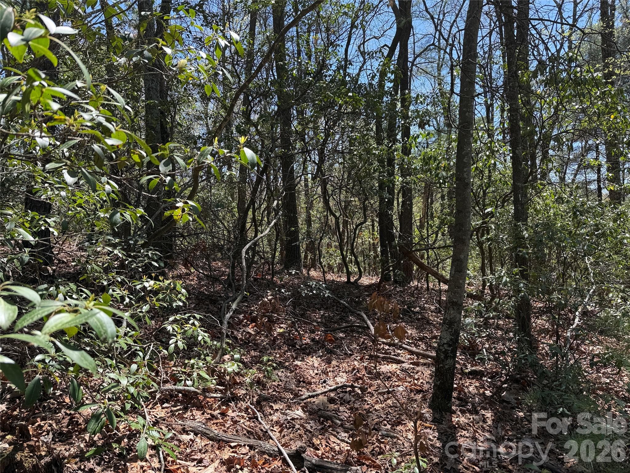Lot at TBD Casey Mountain Road, Purlear, photo 8 of 39