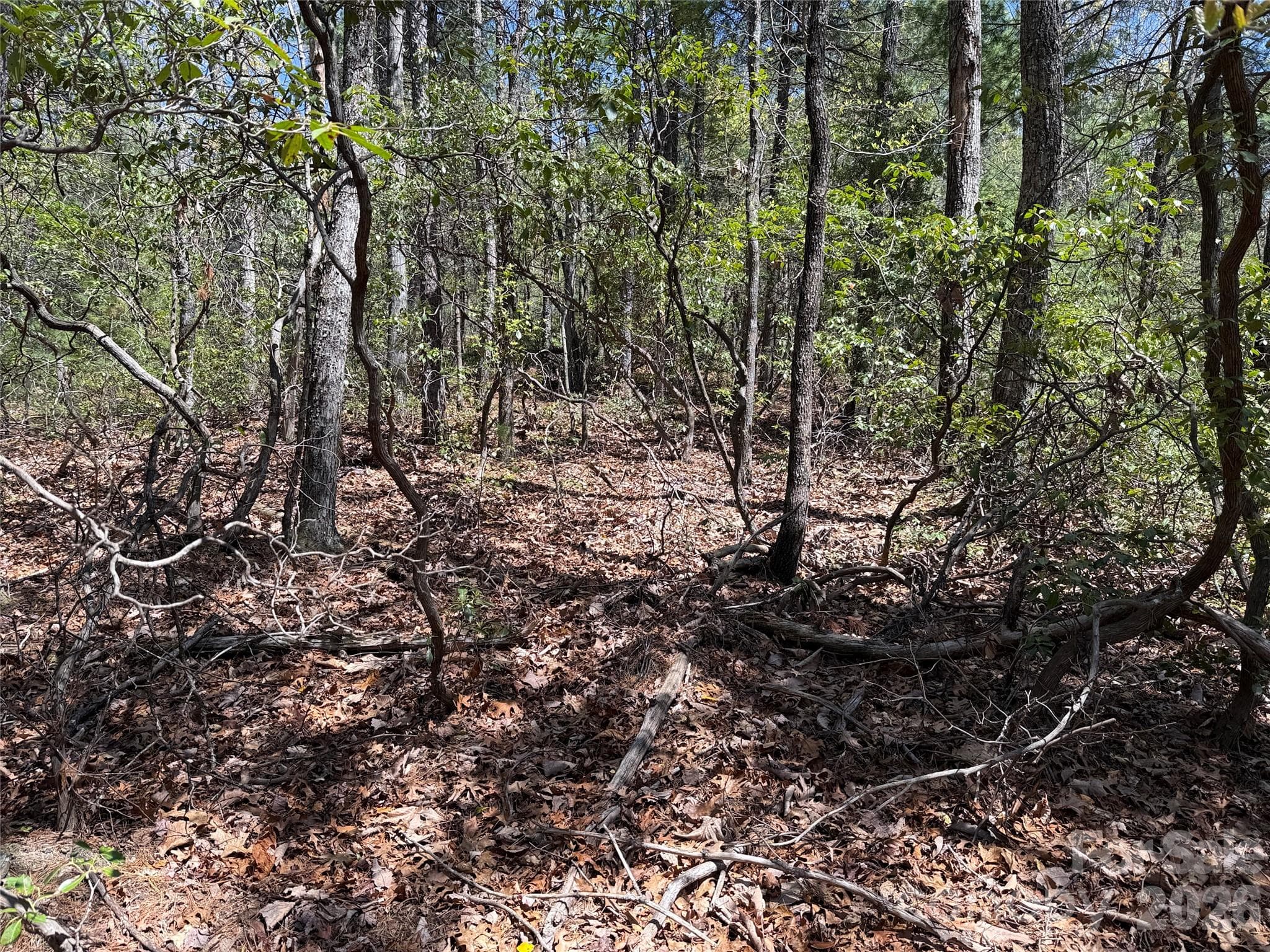 Lot at TBD Casey Mountain Road, Purlear, photo 9 of 39