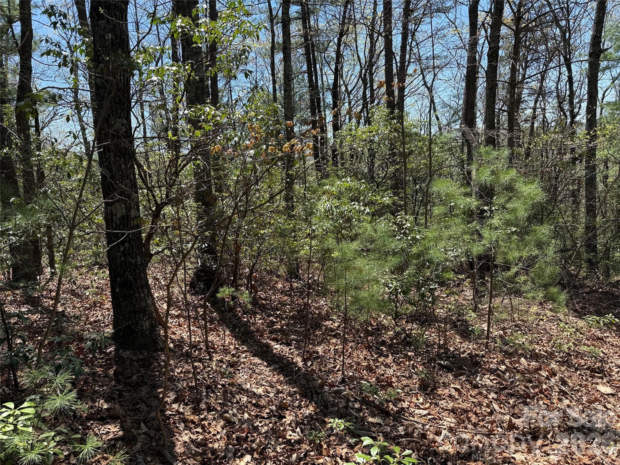 Lot at TBD Casey Mountain Road, Purlear, photo 10 of 39