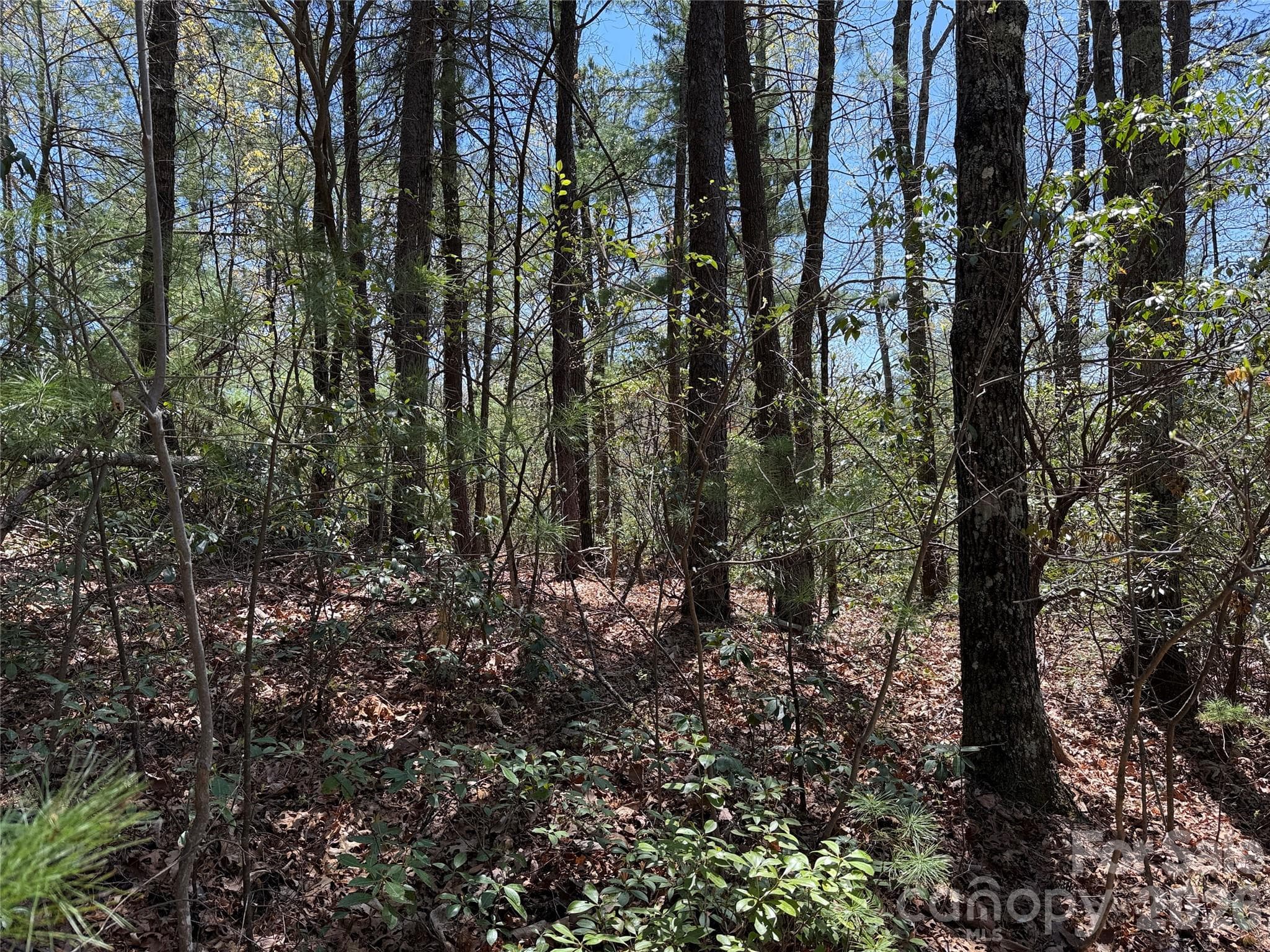 Lot at TBD Casey Mountain Road, Purlear, photo 11 of 39