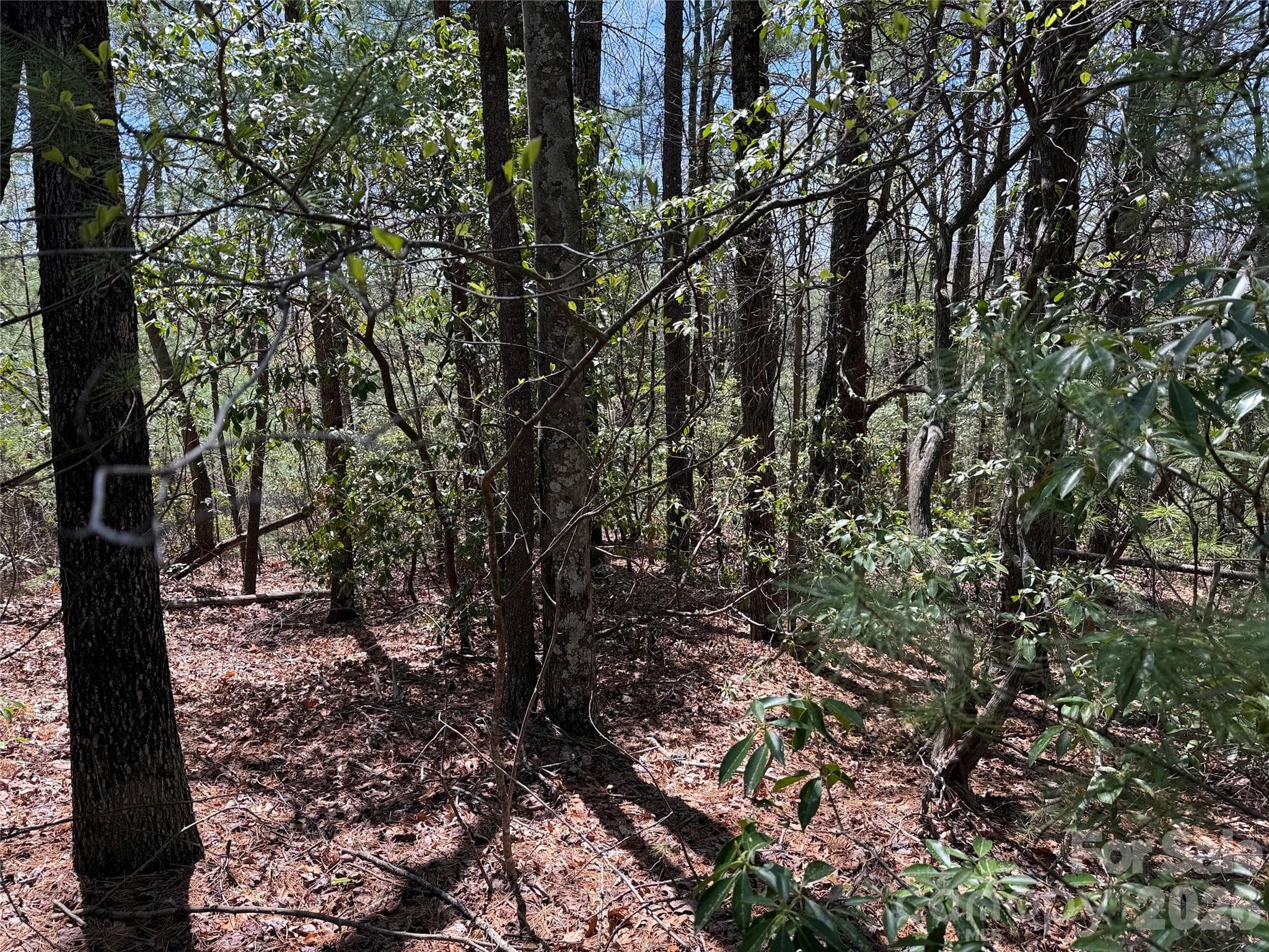 Lot at TBD Casey Mountain Road, Purlear, photo 12 of 39