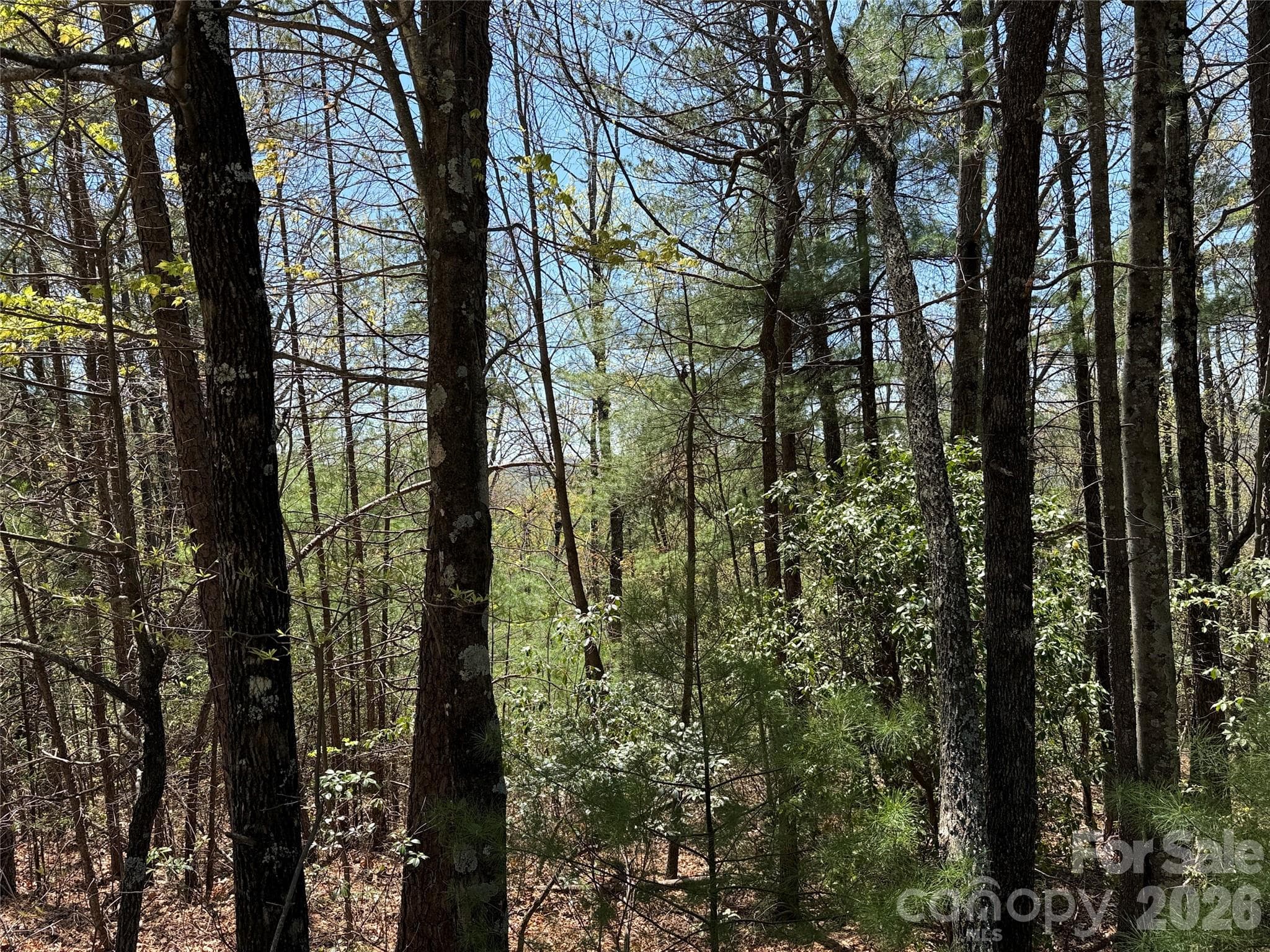 Lot at TBD Casey Mountain Road, Purlear, photo 13 of 39