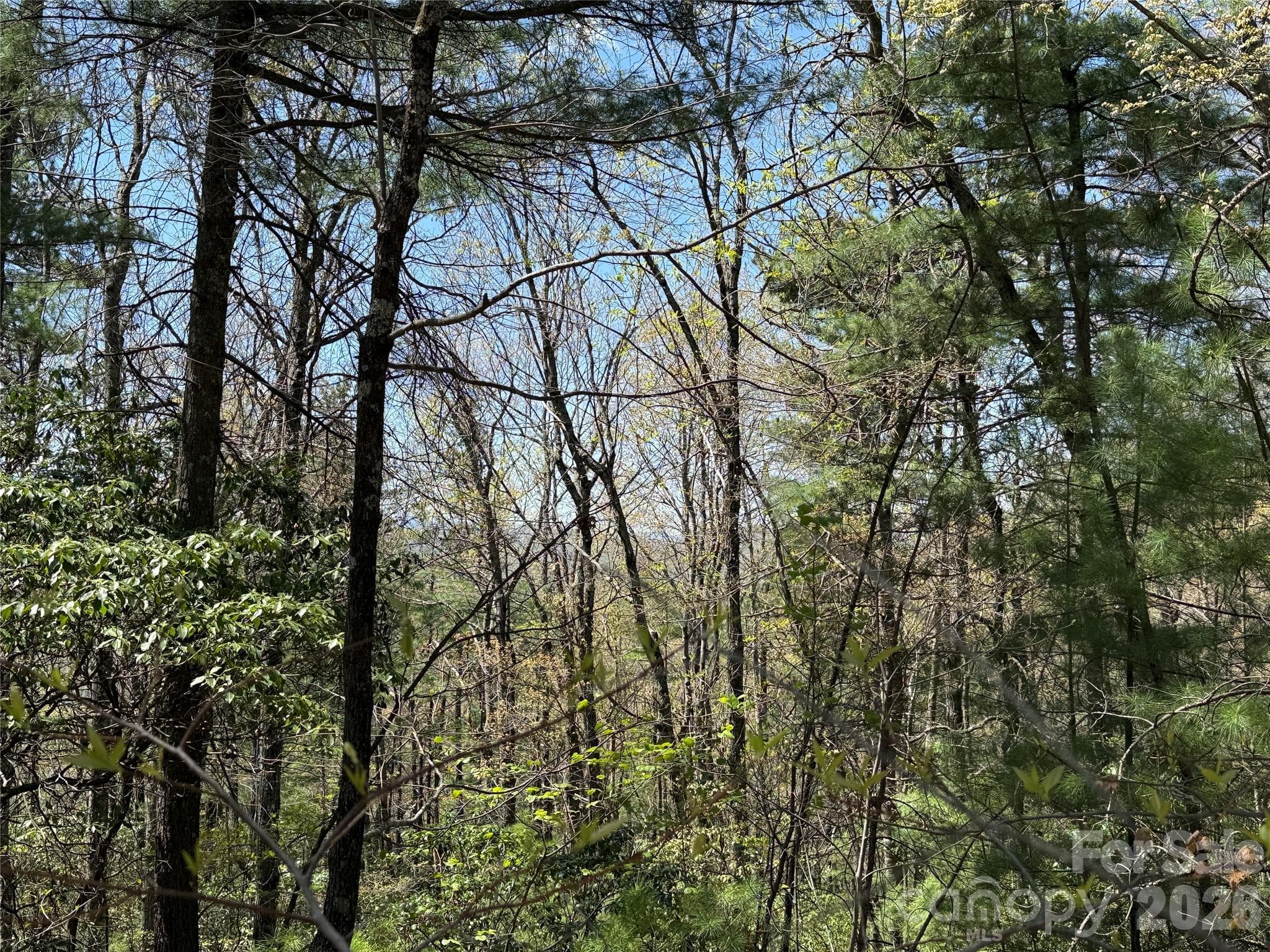 Lot at TBD Casey Mountain Road, Purlear, photo 14 of 39