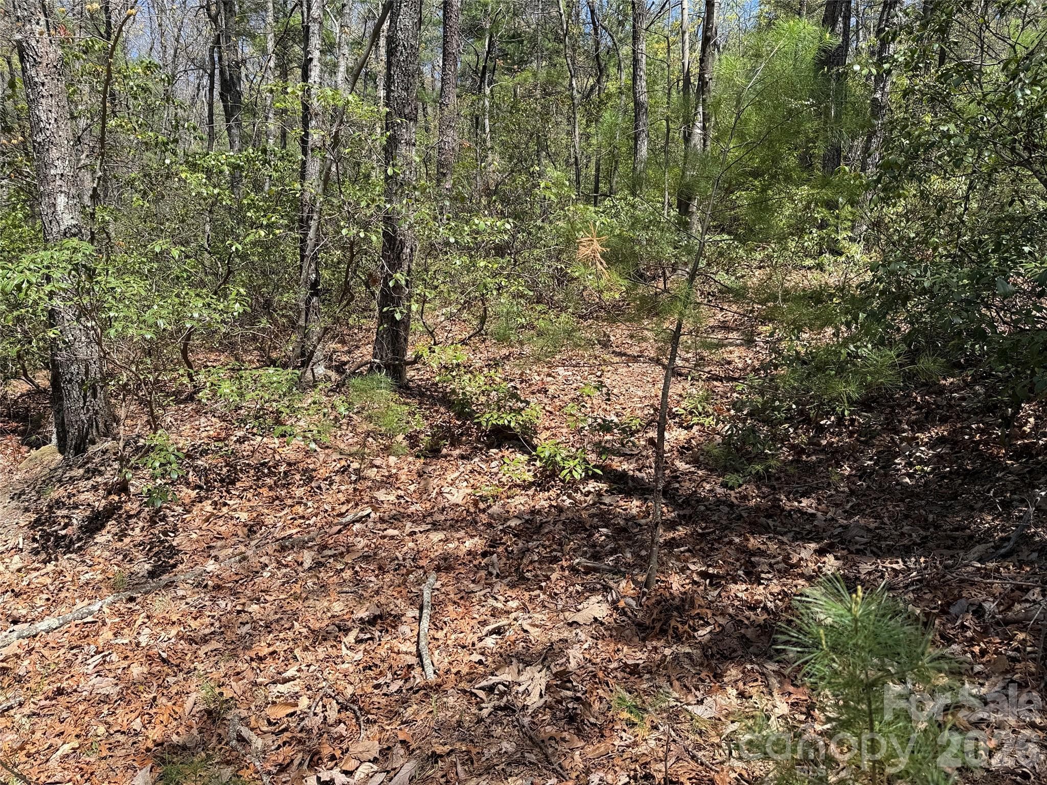Lot at TBD Casey Mountain Road, Purlear, photo 16 of 39