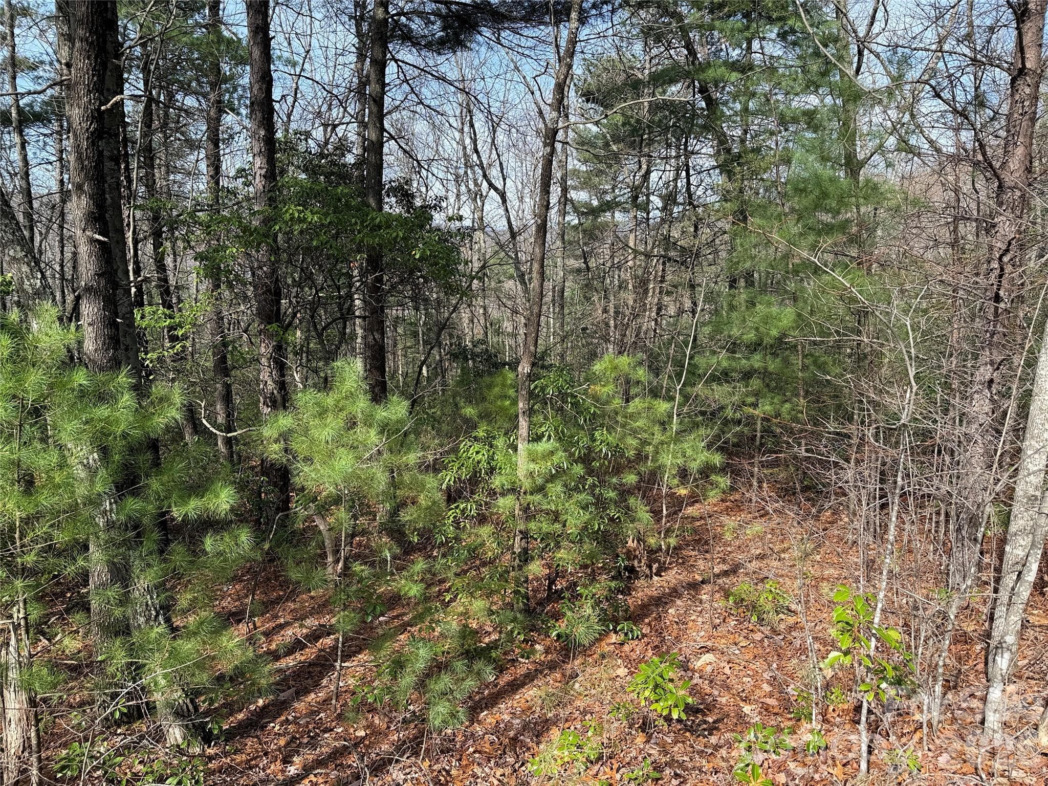 Lot at TBD Casey Mountain Road, Purlear, photo 17 of 39