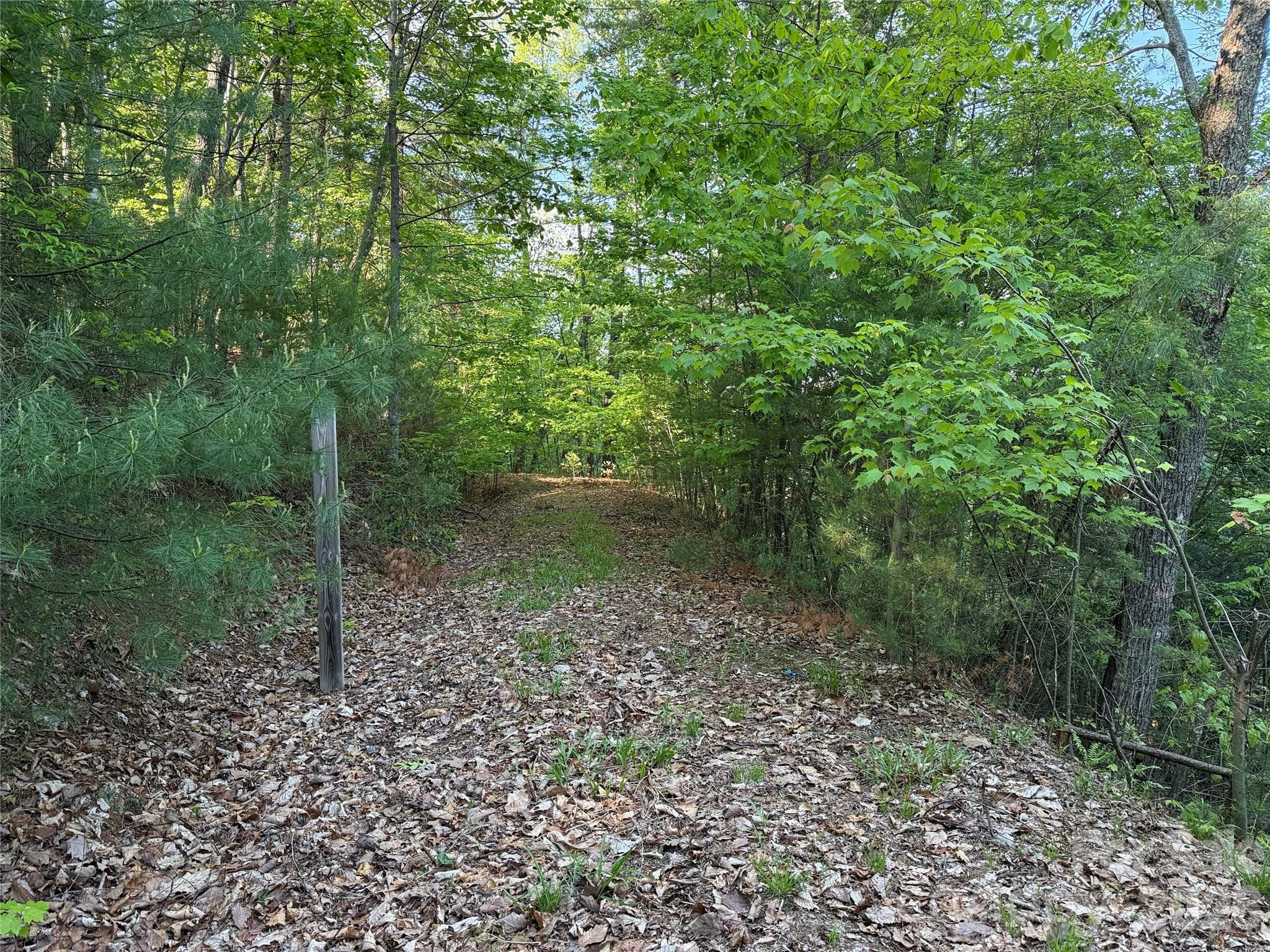 Lot at TBD Wolf Pen Road, Purlear, photo 5 of 42