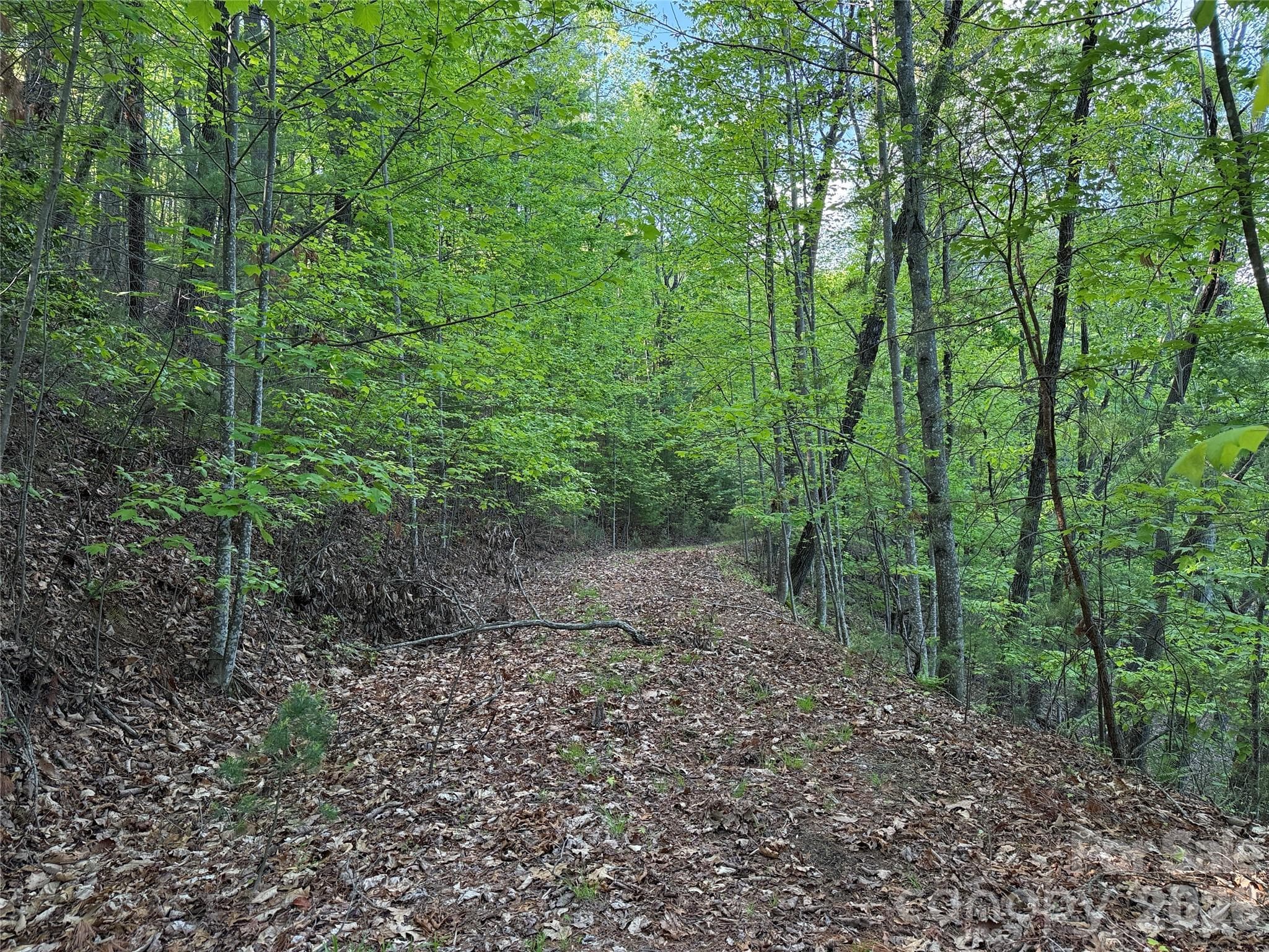 Lot at TBD Wolf Pen Road, Purlear, photo 7 of 42