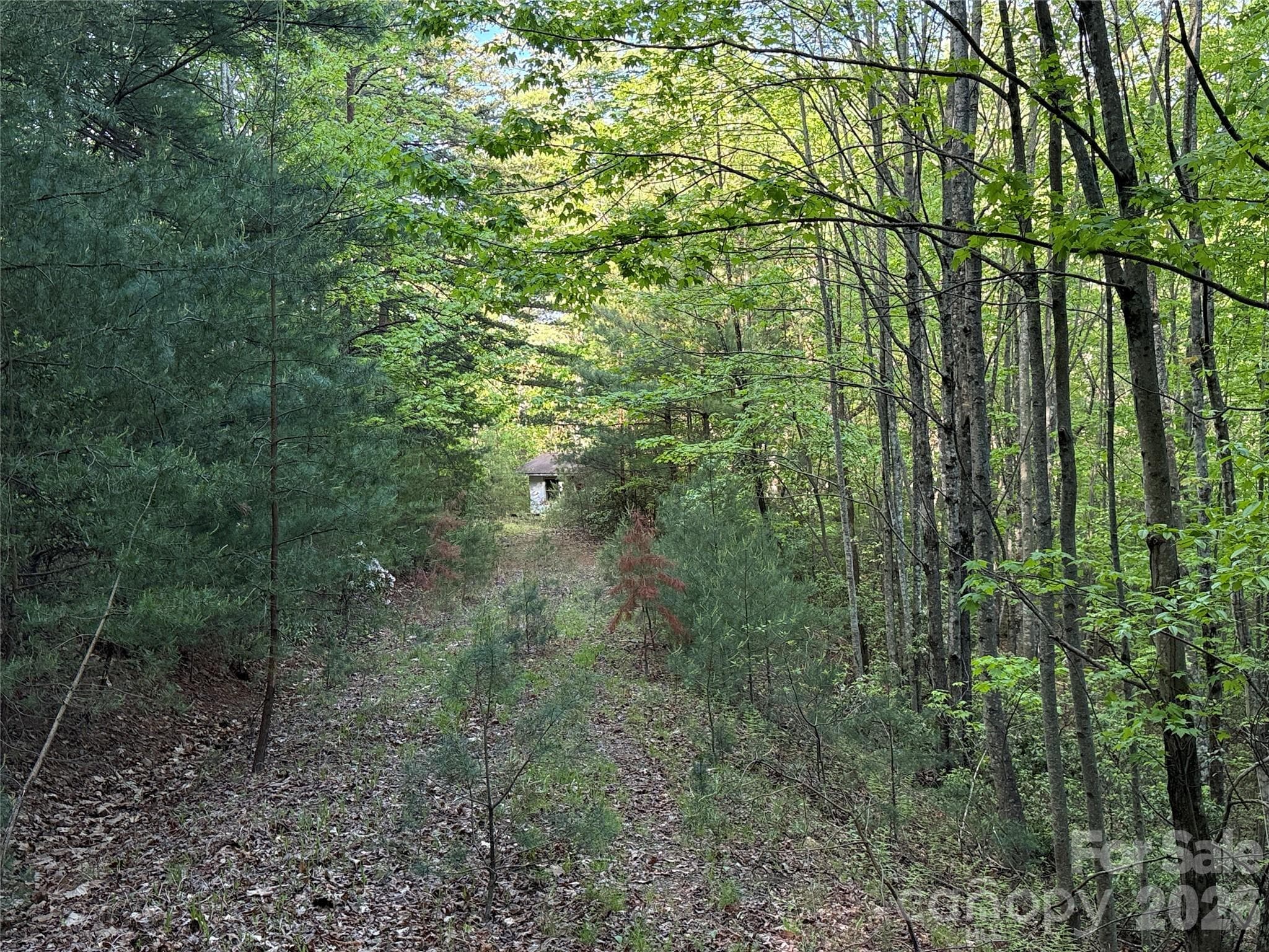 Lot at TBD Wolf Pen Road, Purlear, photo 8 of 42