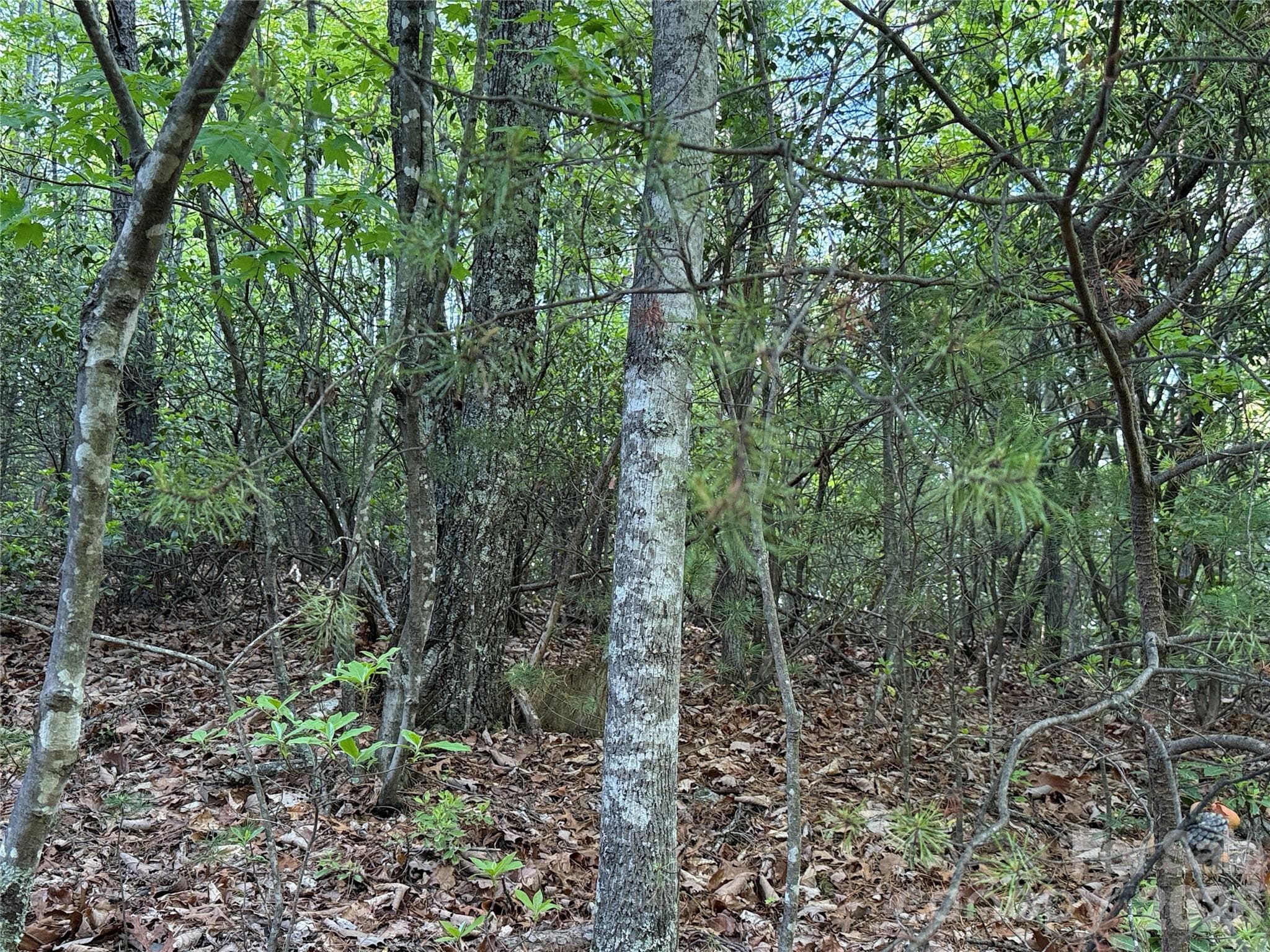 Lot at TBD Wolf Pen Road, Purlear, photo 9 of 42
