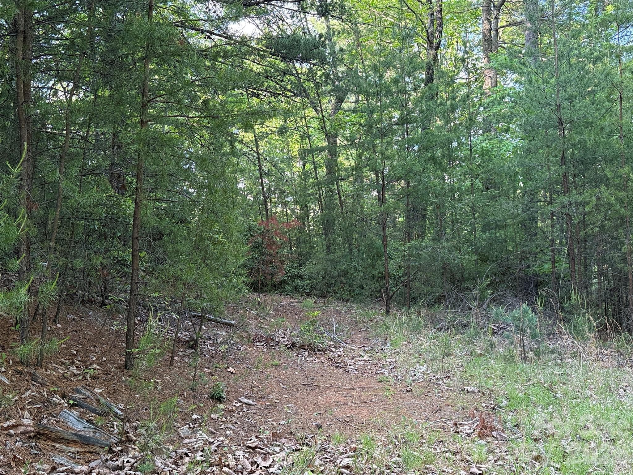 Many Building Site Options - TBD Wolf Pen Road, Purlear