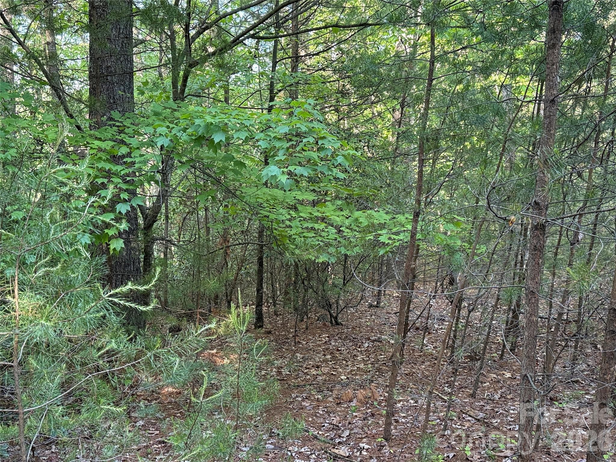 Lot at TBD Wolf Pen Road, Purlear, photo 12 of 42