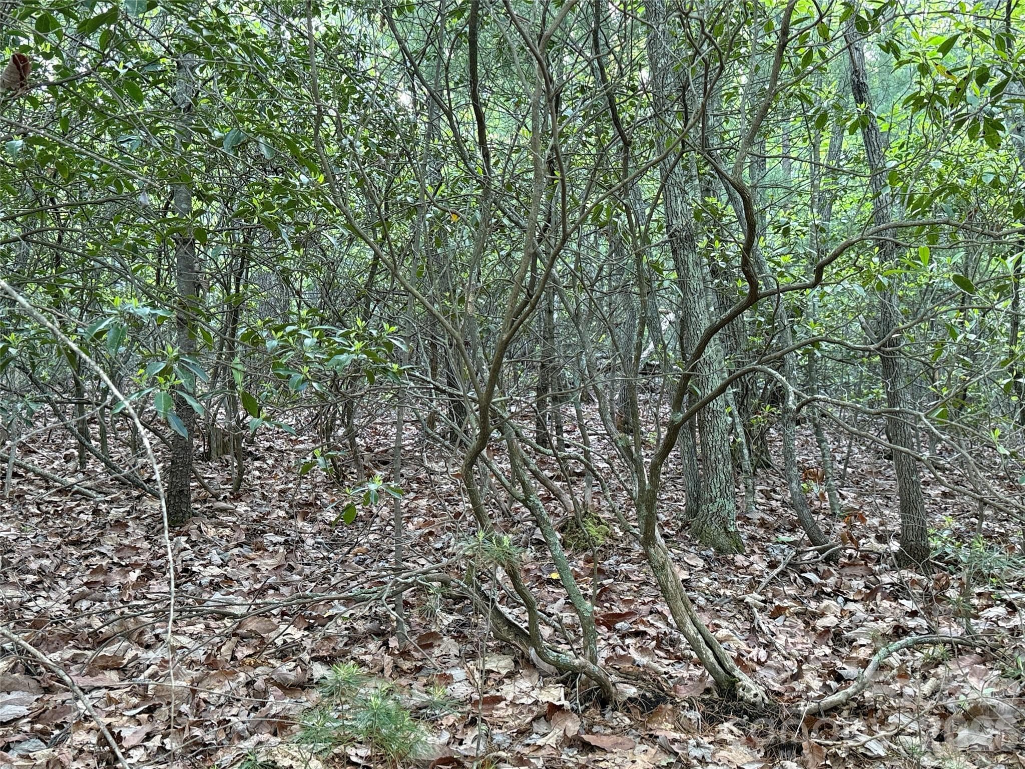Lot at TBD Wolf Pen Road, Purlear, photo 13 of 42