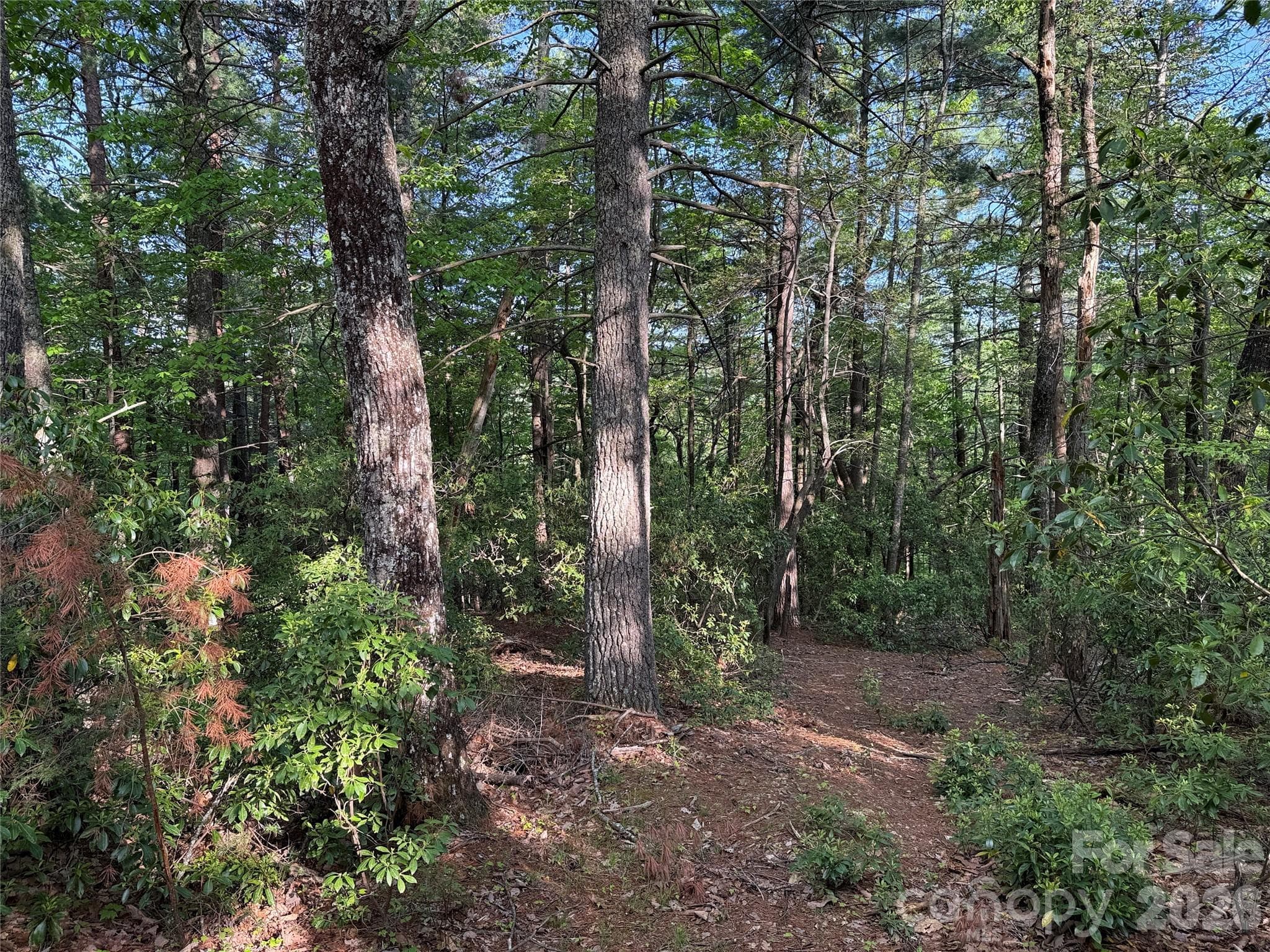 Lot at TBD Wolf Pen Road, Purlear, photo 16 of 42