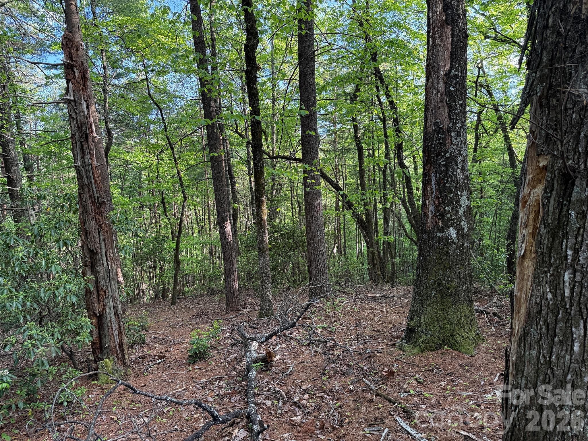 Lot at TBD Wolf Pen Road, Purlear, photo 17 of 42
