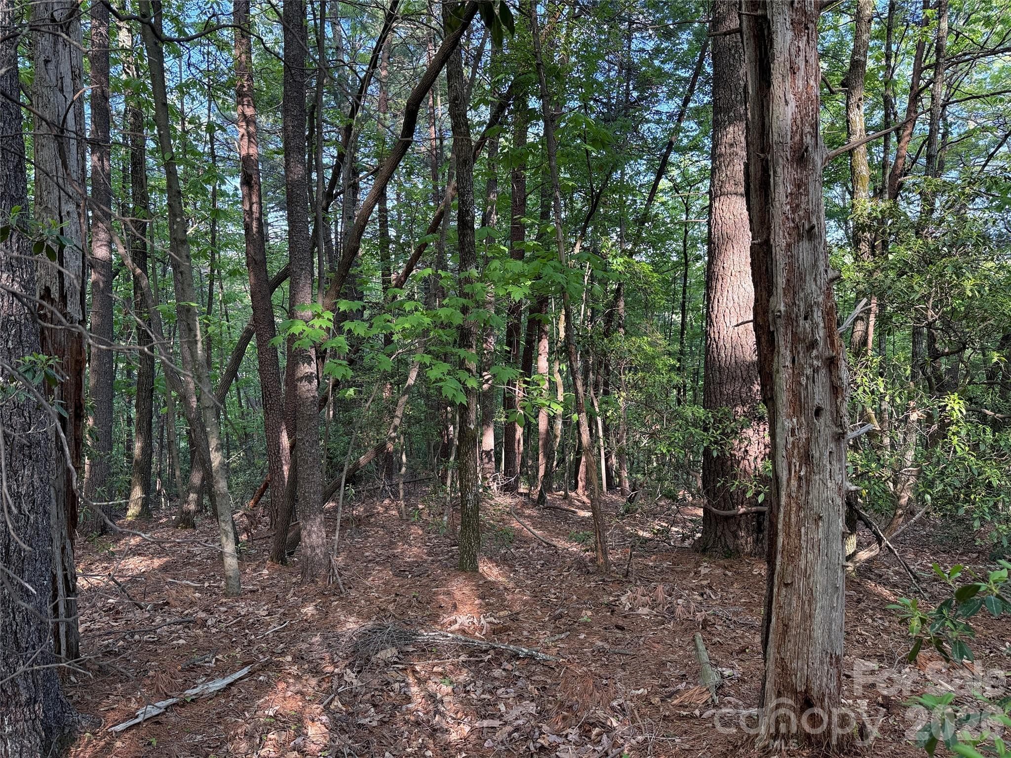 Lot at TBD Wolf Pen Road, Purlear, photo 18 of 42