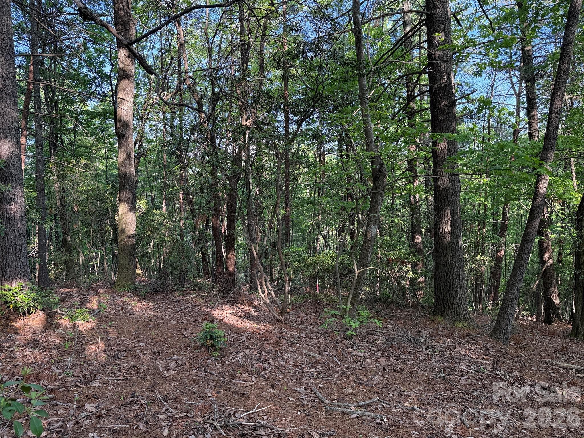 Lot at TBD Wolf Pen Road, Purlear, photo 19 of 42