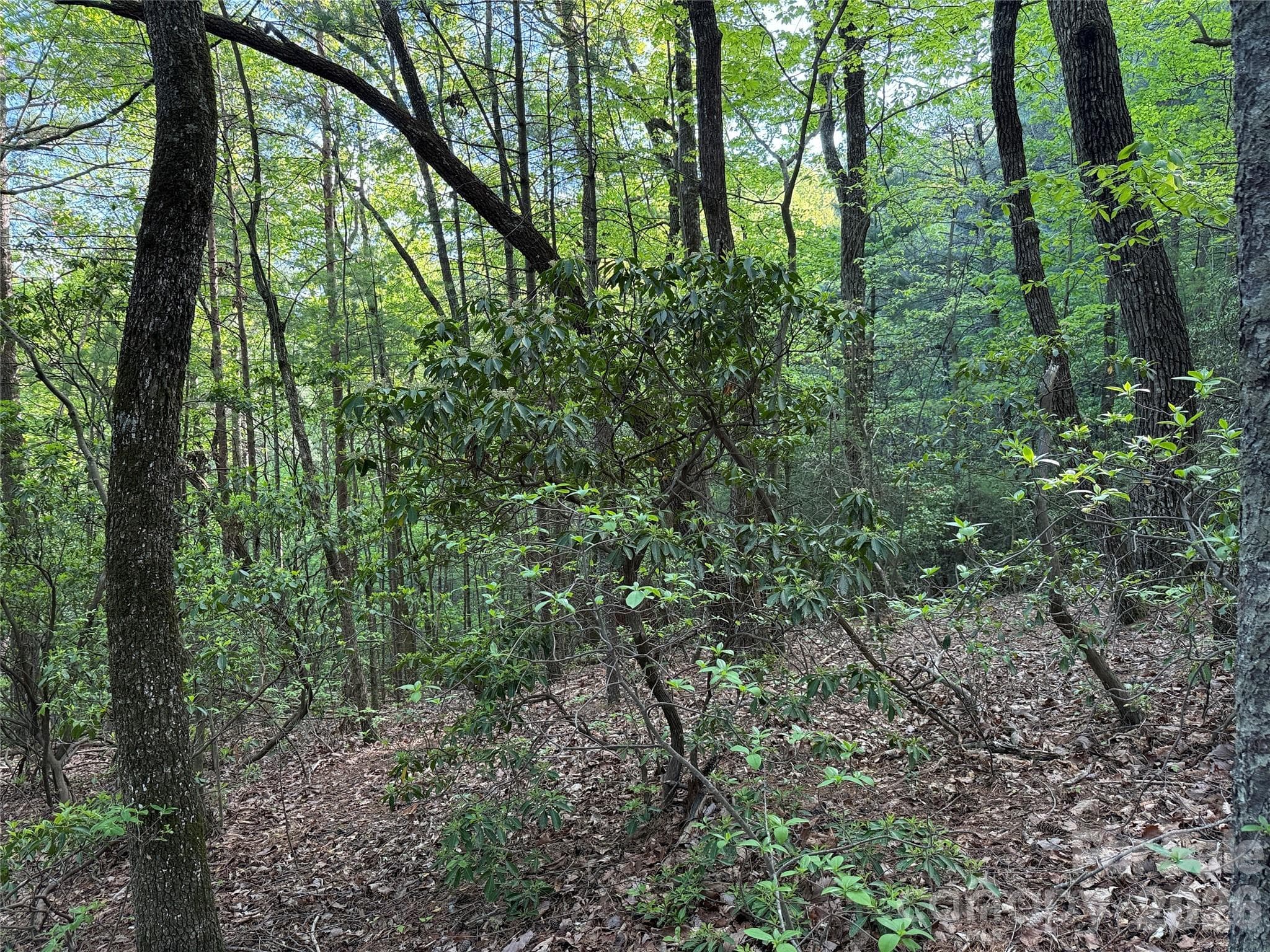 Lot at TBD Wolf Pen Road, Purlear, photo 20 of 42