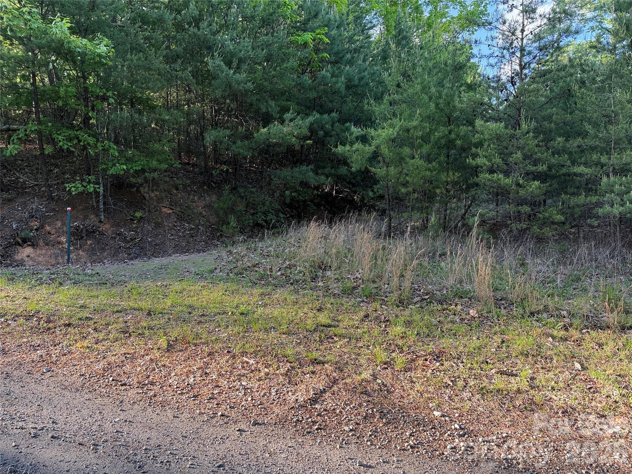 Deeded 45' Right of Way to Lot 27 - TBD Wolf Pen Road, Purlear