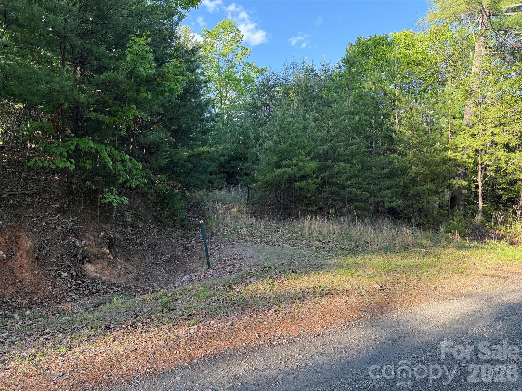 Deeded 45' Right of Way to Lot 27 - TBD Wolf Pen Road, Purlear