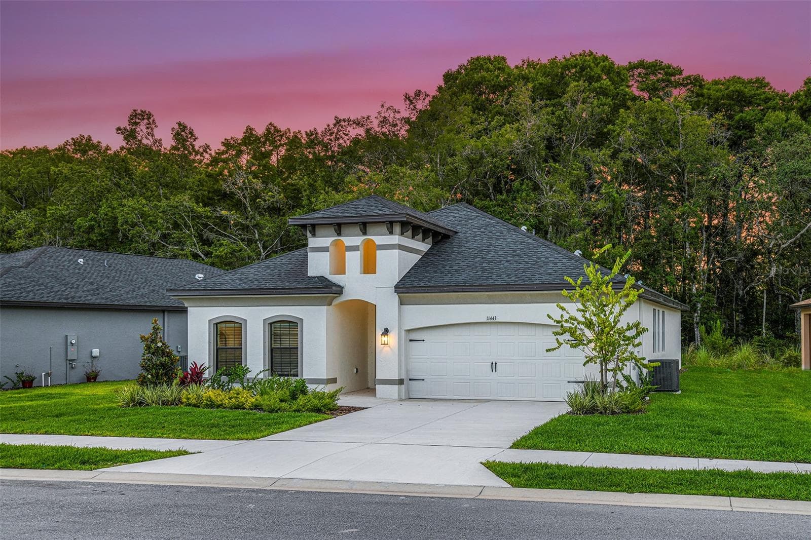 11335 STRIPED BASS CT