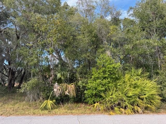Land at 195 LAKE MOLLY AVE, DELAND, photo 2 of 19