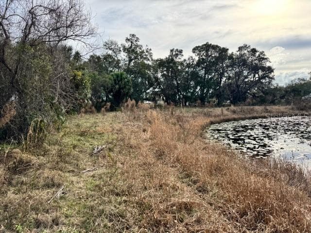Land at 195 LAKE MOLLY AVE, DELAND, photo 18 of 19