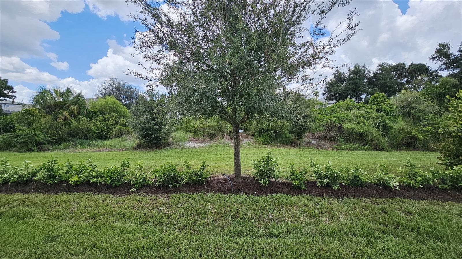 Room for a pool - 4952 SURFSIDE CIR, BRADENTON