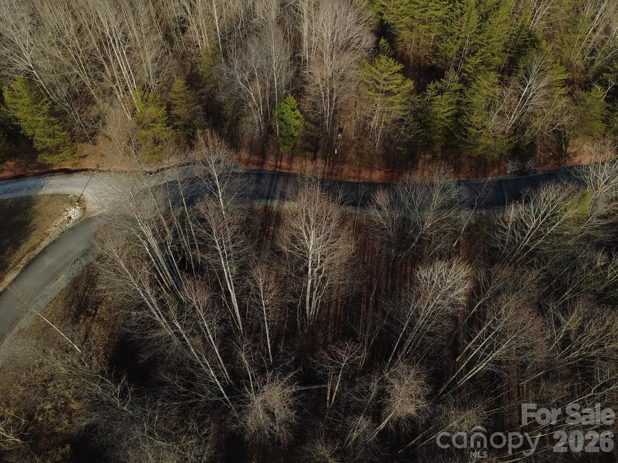 Lot at Nebo, photo 2 of 31