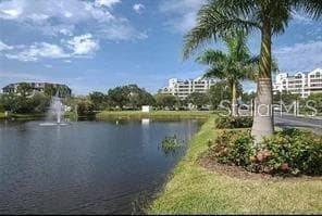 Sculptured mature landscaping on spacious complex grounds - 2333 FEATHER SOUND DR #B304, CLEARWATER