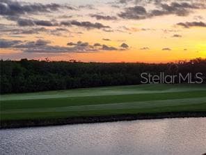 Night fall comes with serene sunsets - 2333 FEATHER SOUND DR #B304, CLEARWATER