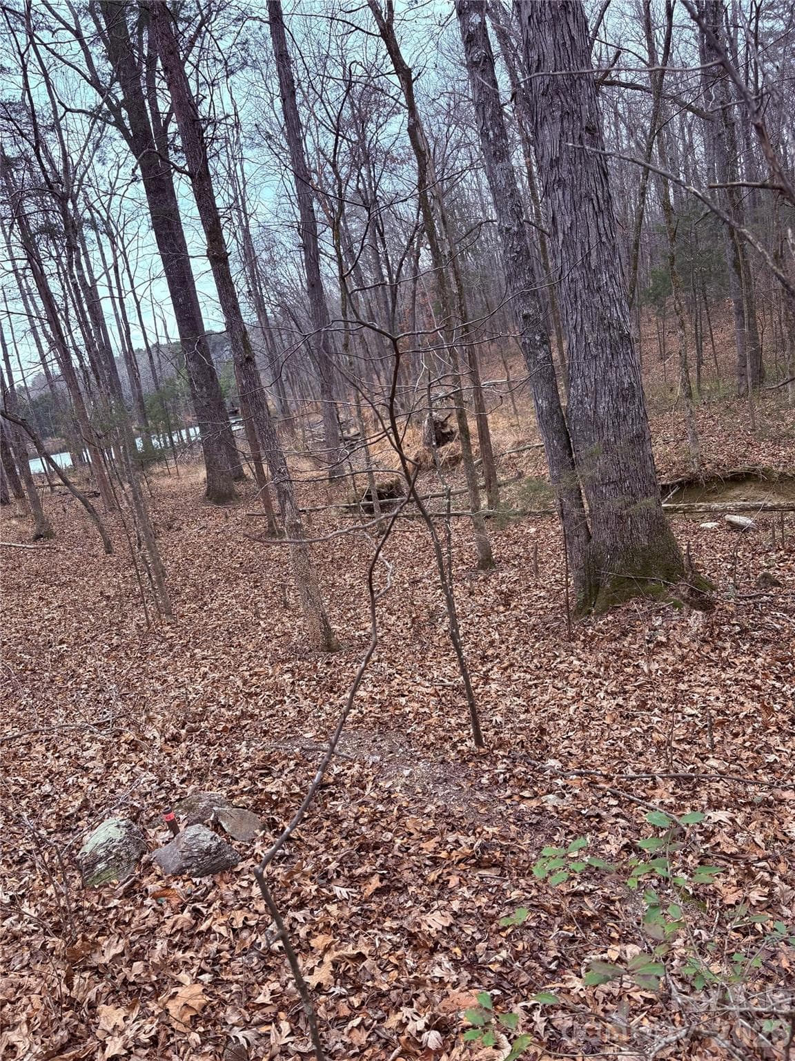 Back right corner of property by the creek - 000 Vacant NC 138 Highway, Norwood