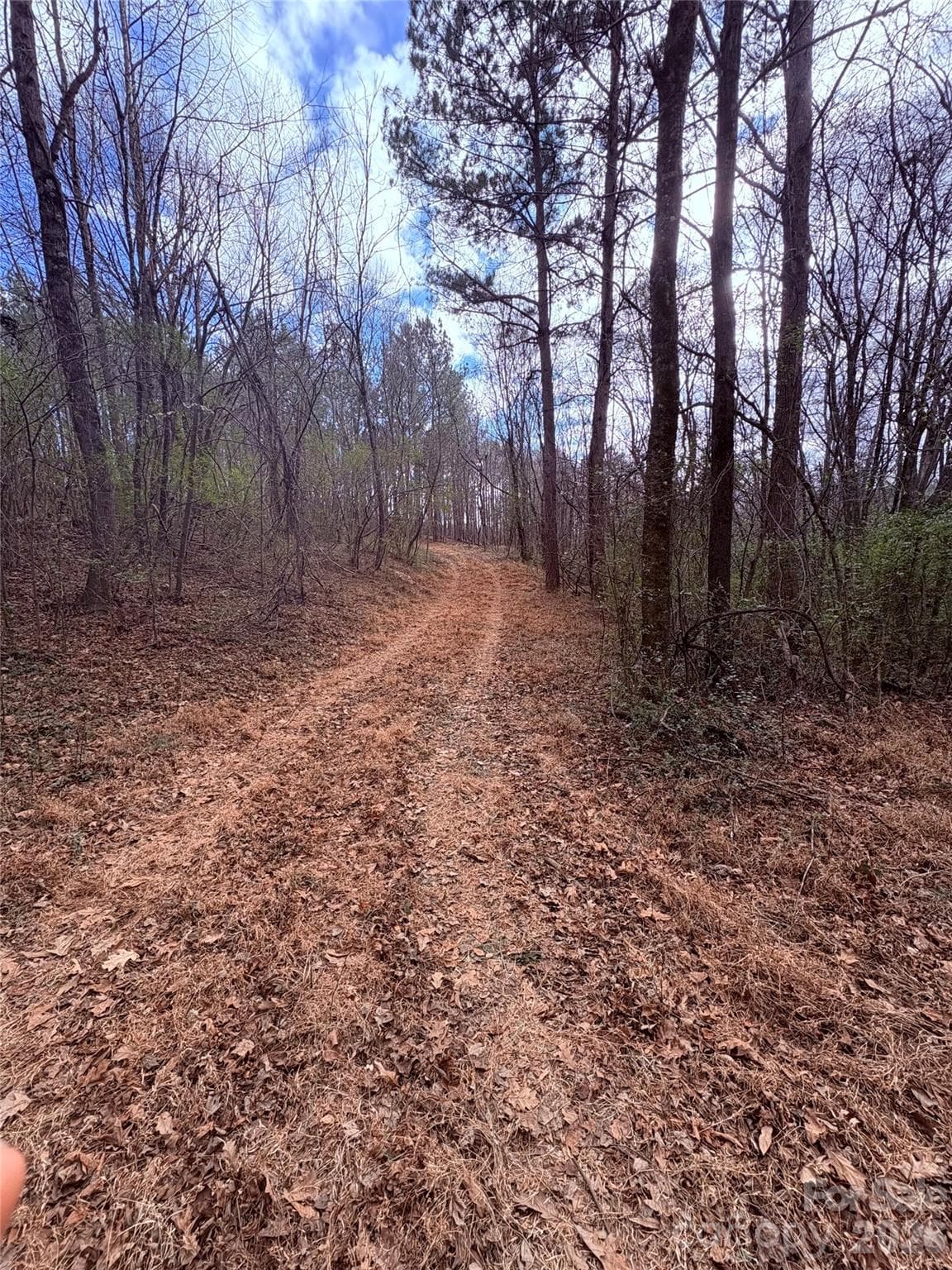 Farm Road - 000 Vacant NC 138 Highway, Norwood