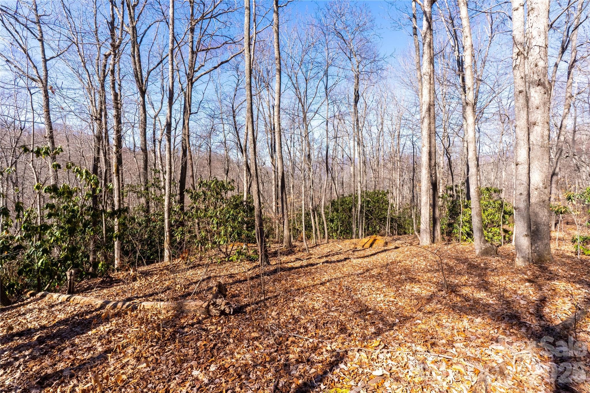 Private 2.31-acre homesite - 1248 Arborcrest Way, Swannanoa