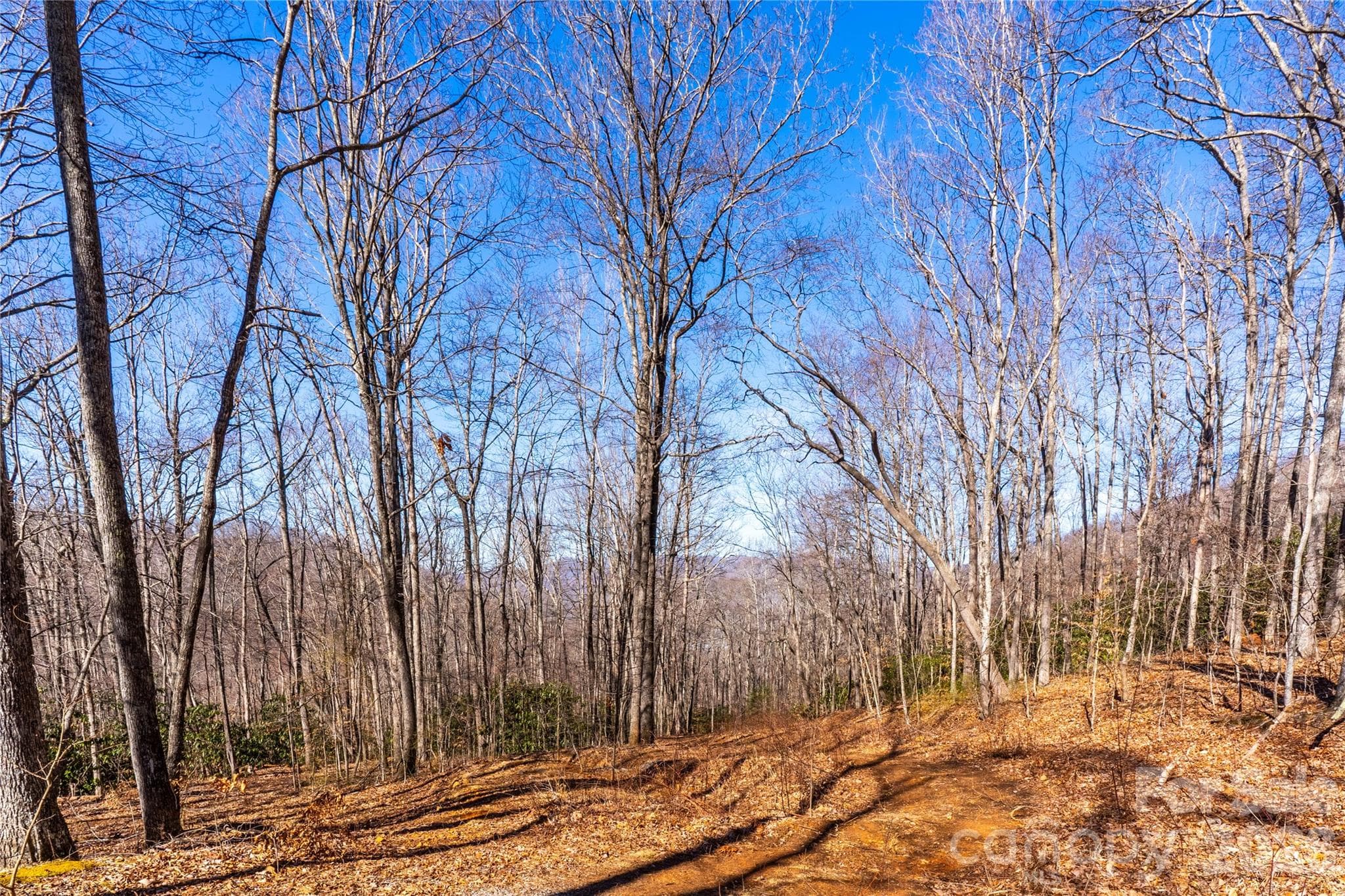 Lot at 1248 Arborcrest Way, Swannanoa, photo 3 of 17