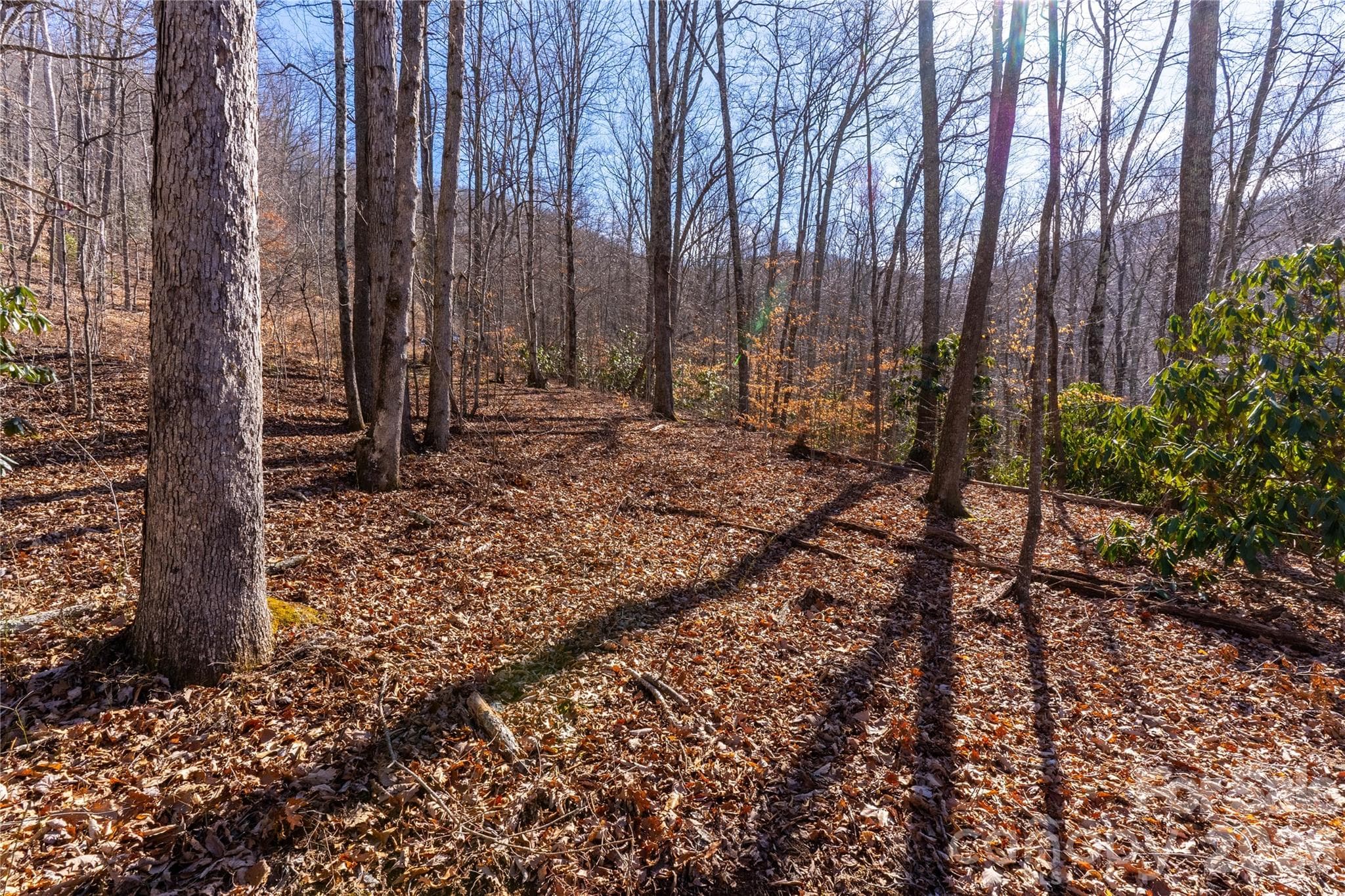 Expired perk test for a 4-bedroom septic system - 1248 Arborcrest Way, Swannanoa