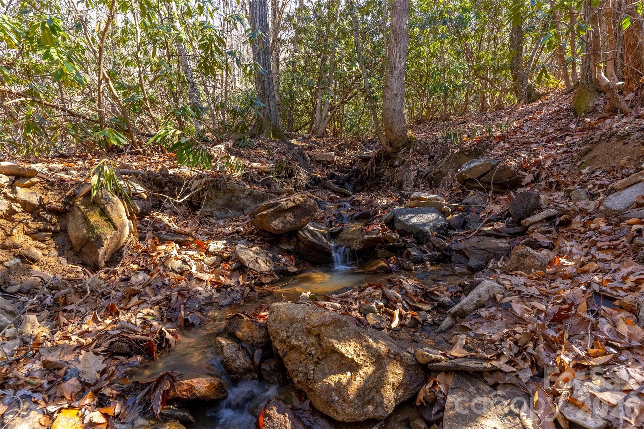 The creek, nestled below the build site- Enjoy the peaceful sound of the creek! - 1248 Arborcrest Way, Swannanoa